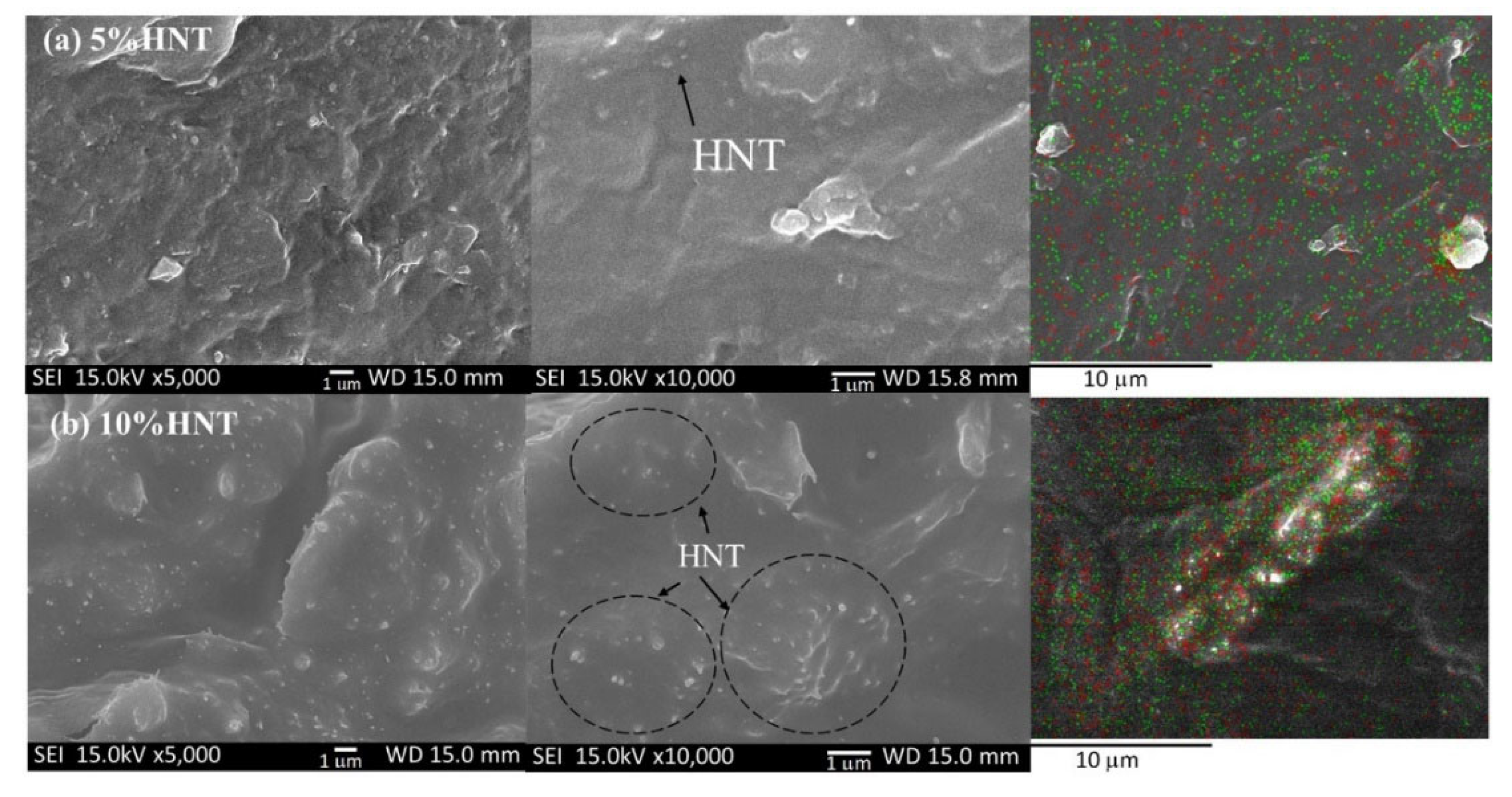Polymers 14 03710 g003