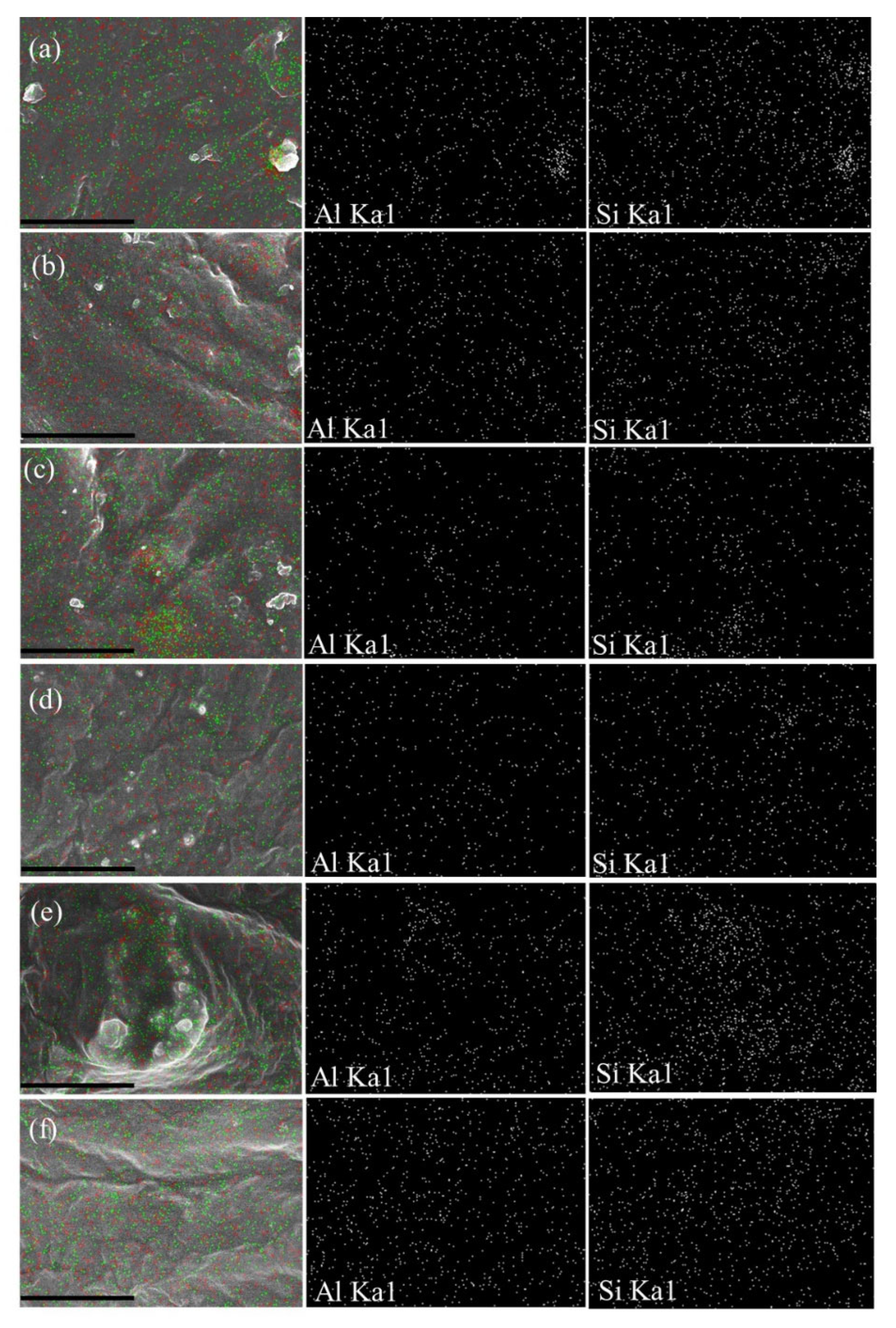 Polymers 14 03710 g004