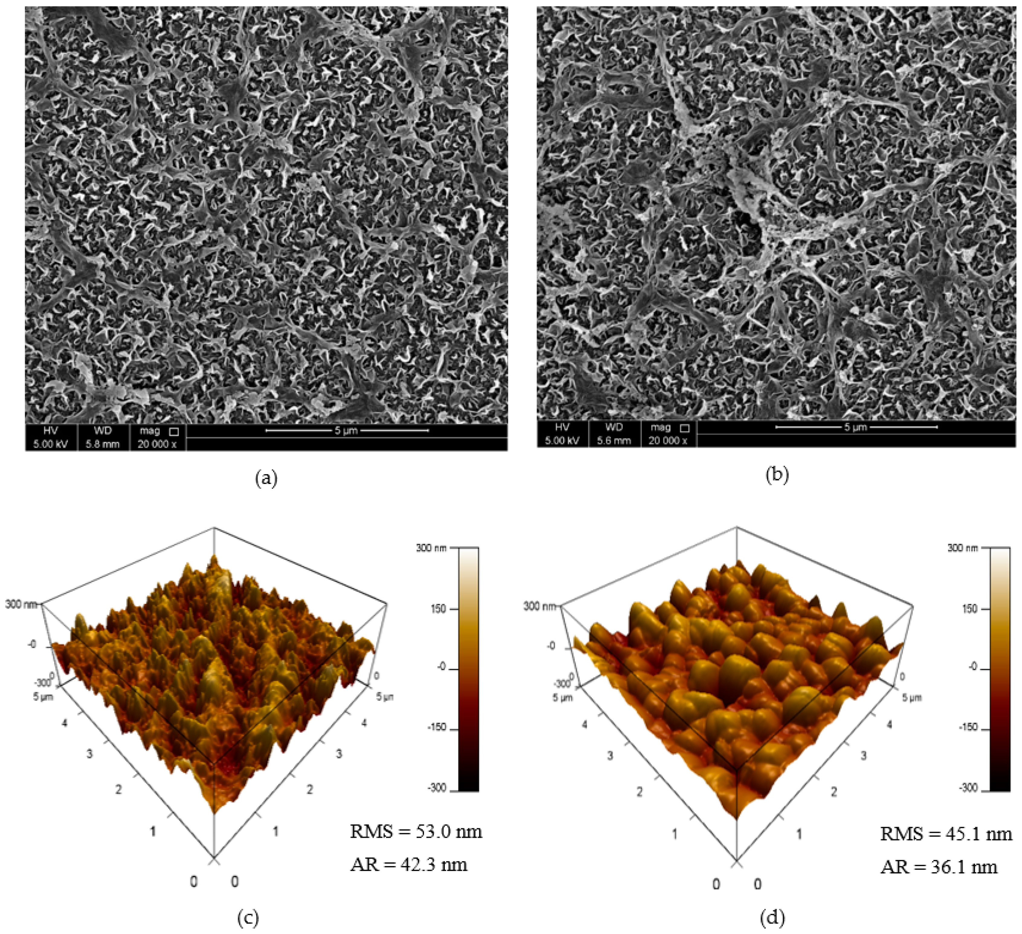 Polymers 14 03711 g008