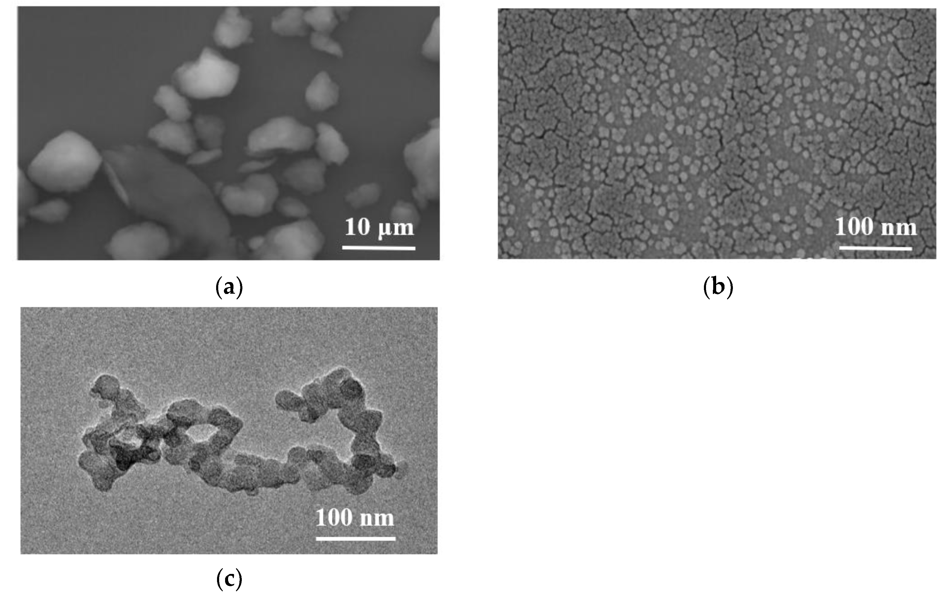 Polymers 14 03717 g005