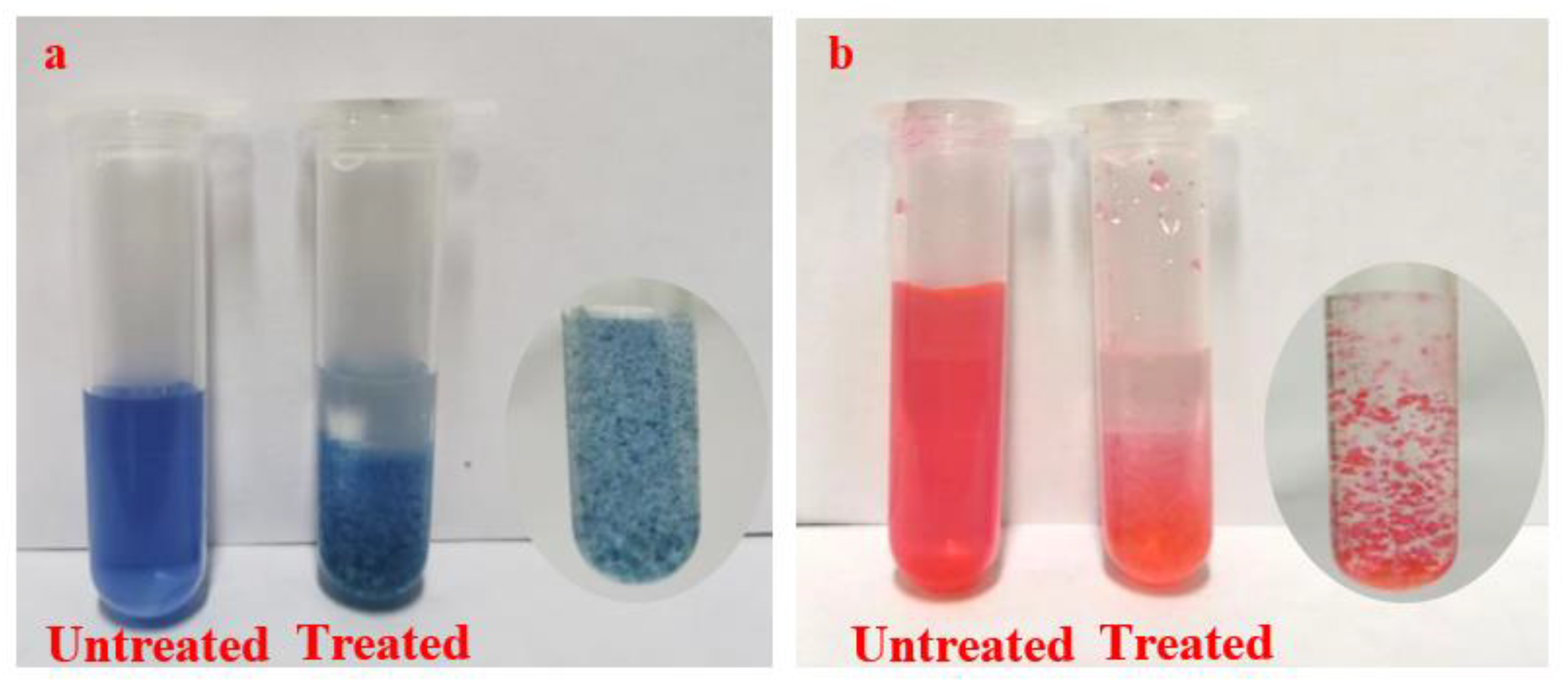 Polymers 14 03717 g014