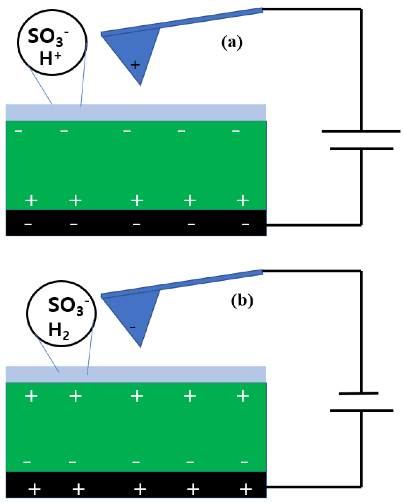 Polymers 14 03718 g006 550