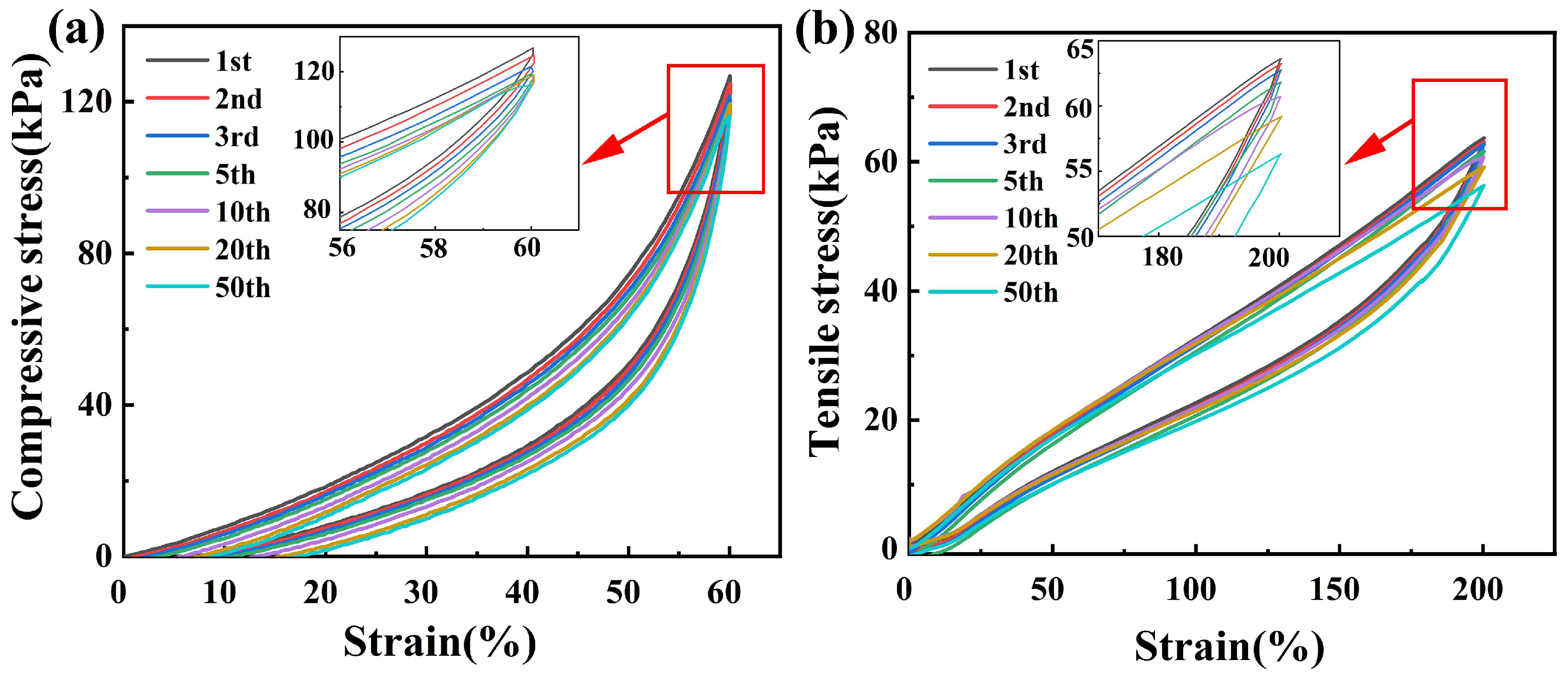 Polymers 14 03721 g004 550