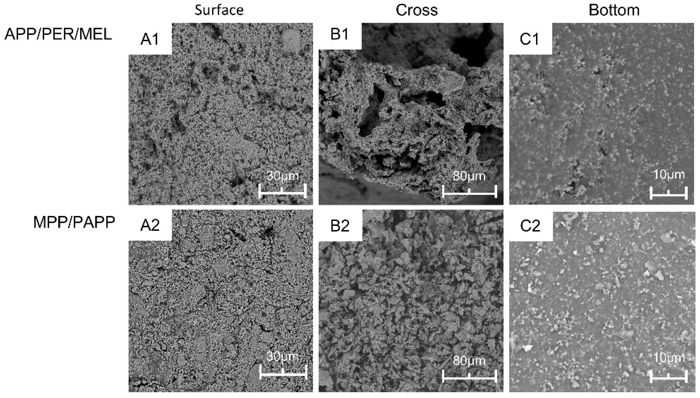 Polymers 14 03722 g005