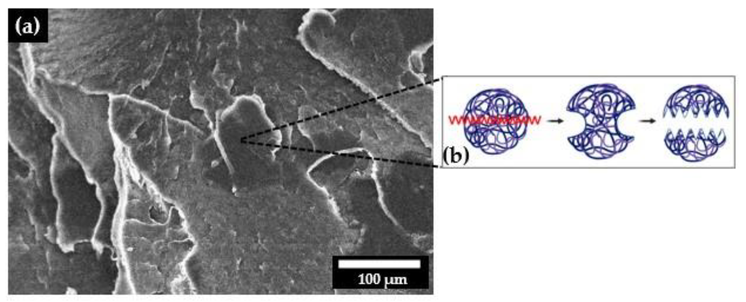 Polymers 14 03723 g009