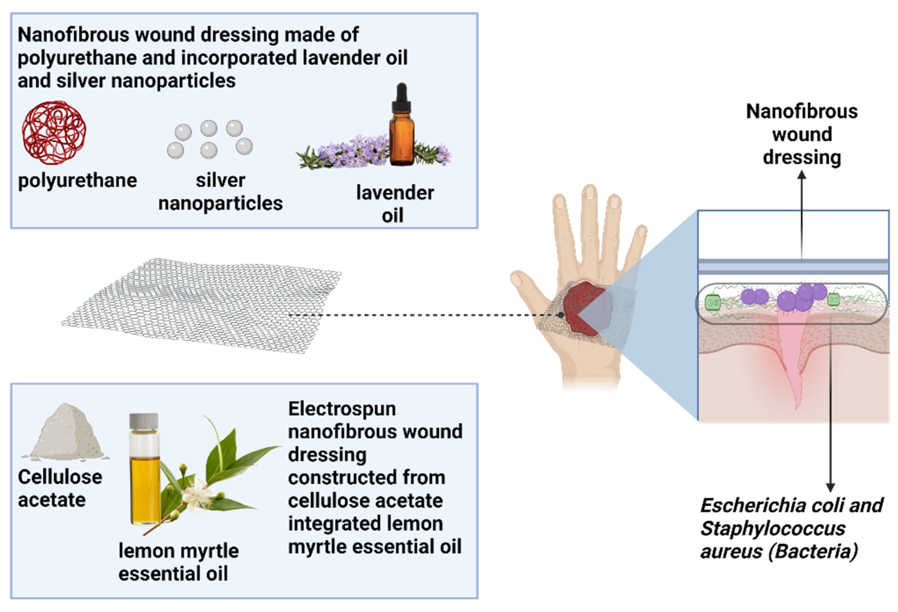 Polymers 14 03725 g009