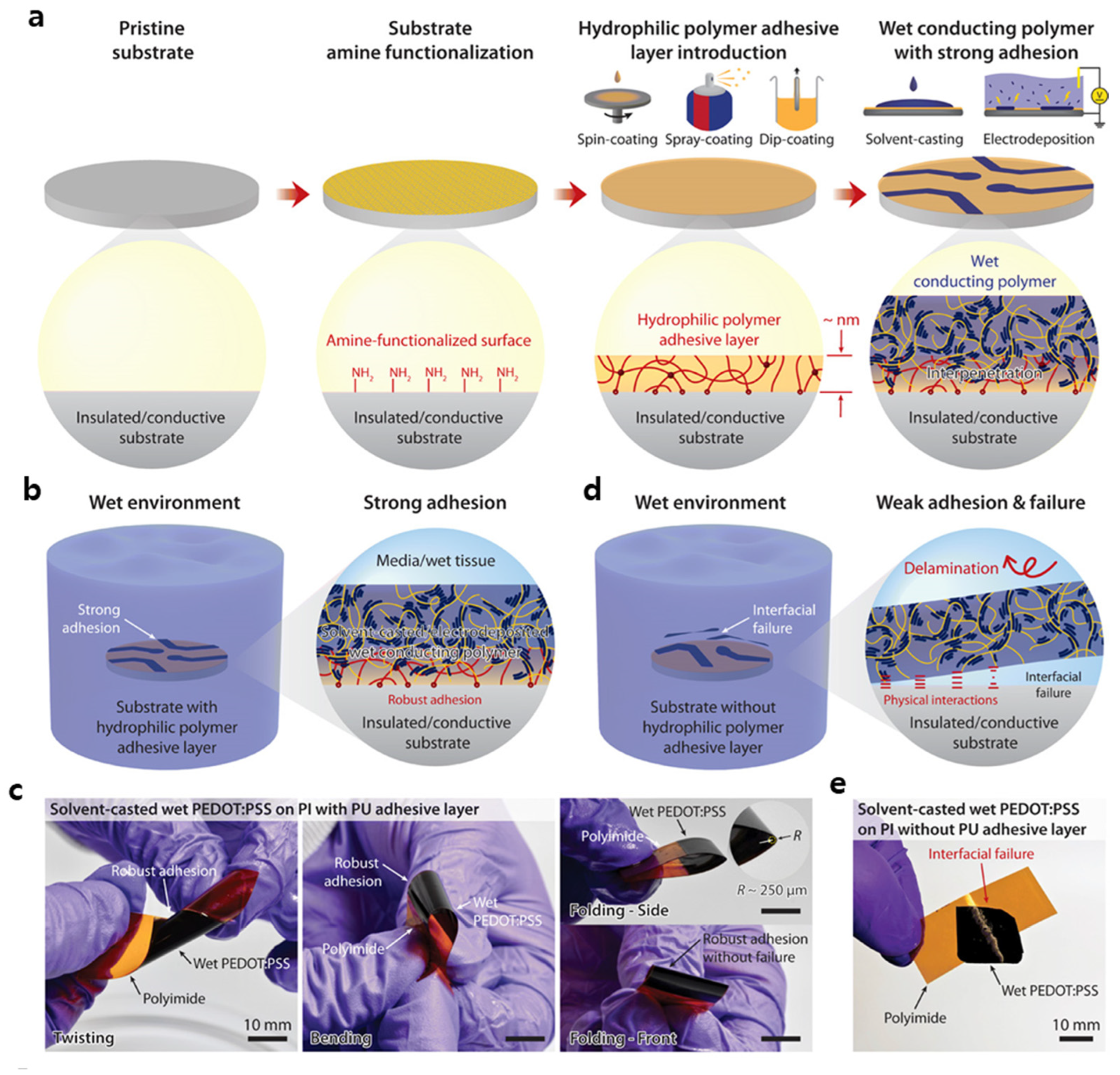 Polymers 14 03730 g002 Polymers 14 03730 g002