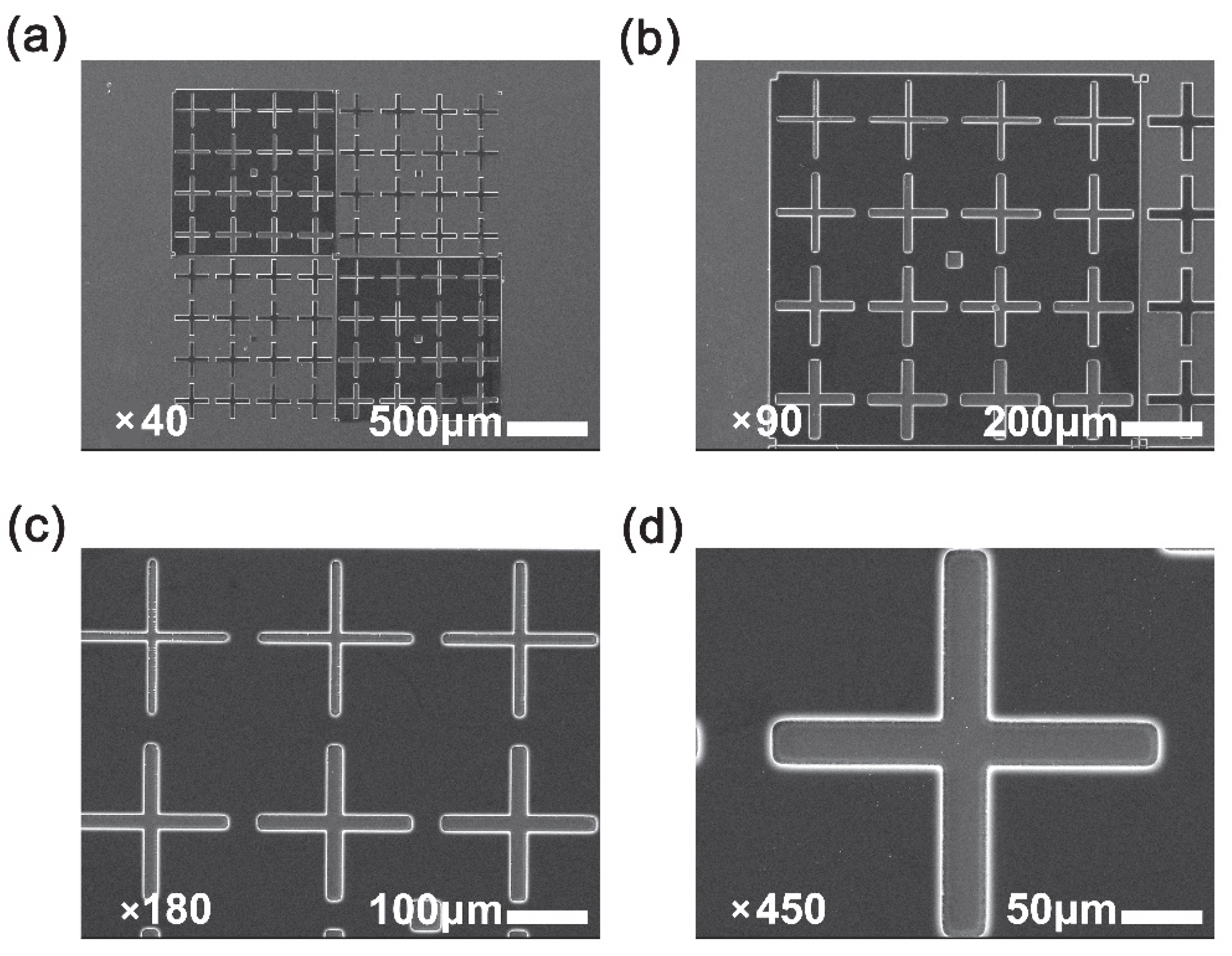 Polymers Free Full Text Intrinsically Negative Photosensitive polymers-free-full-text-intrinsically-negative-photosensitive