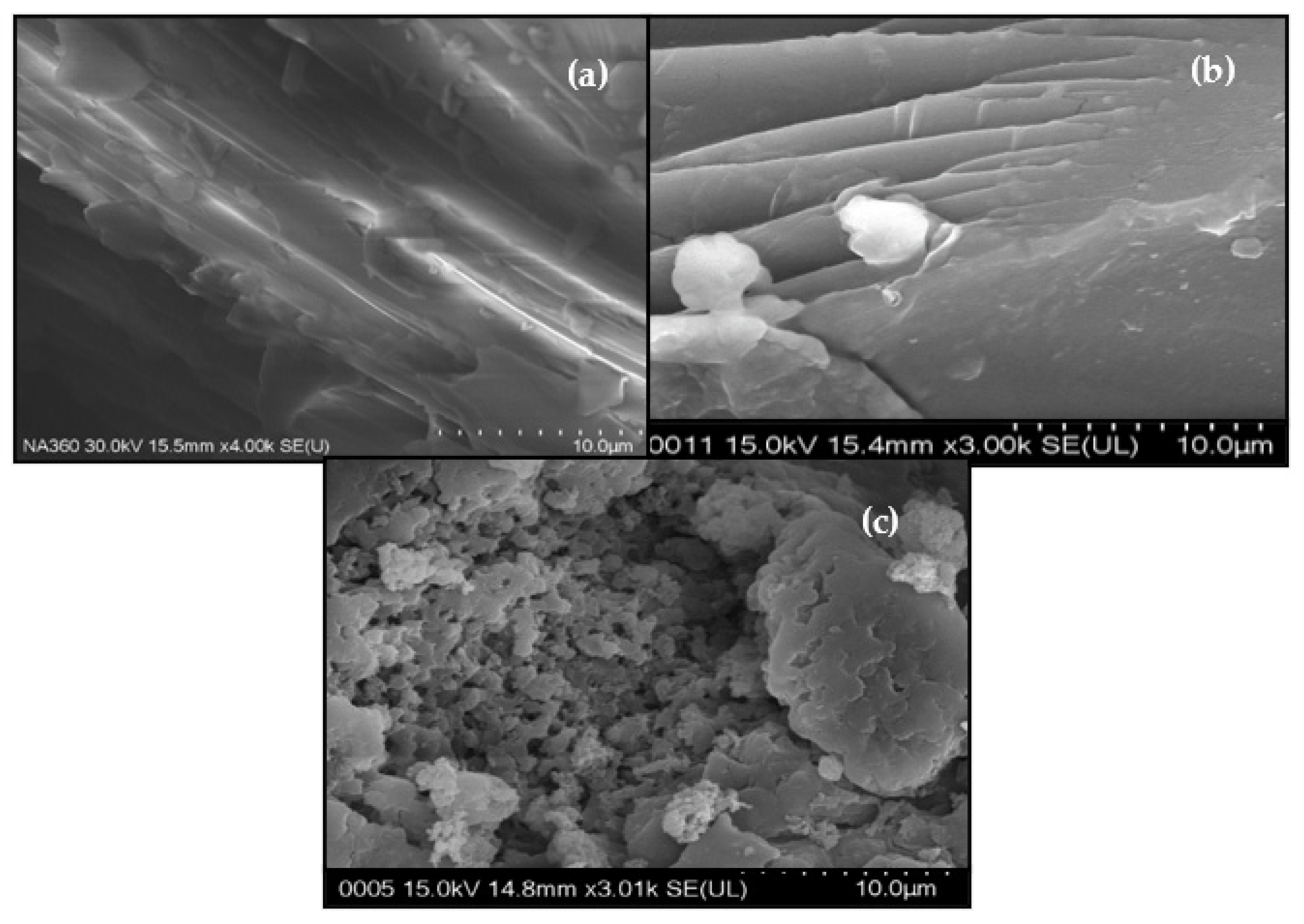 Polymers 14 03735 g006