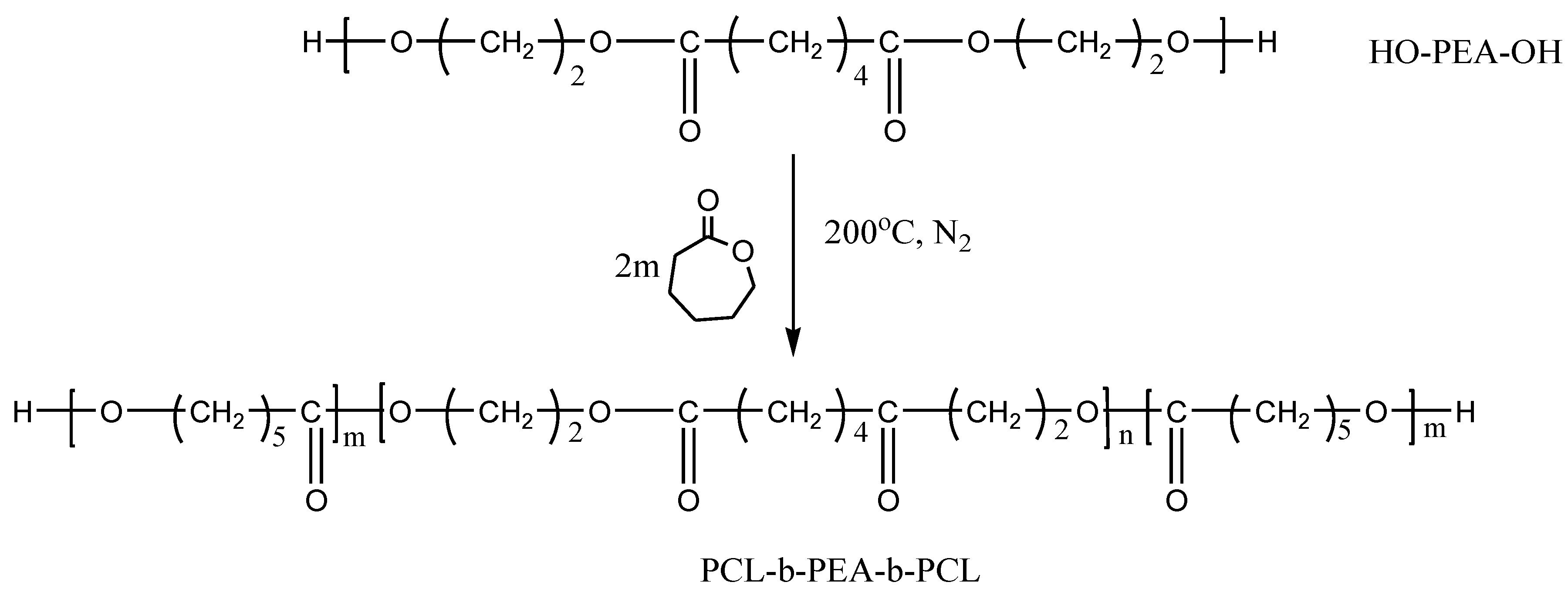 Polymers 14 03736 sch002 550