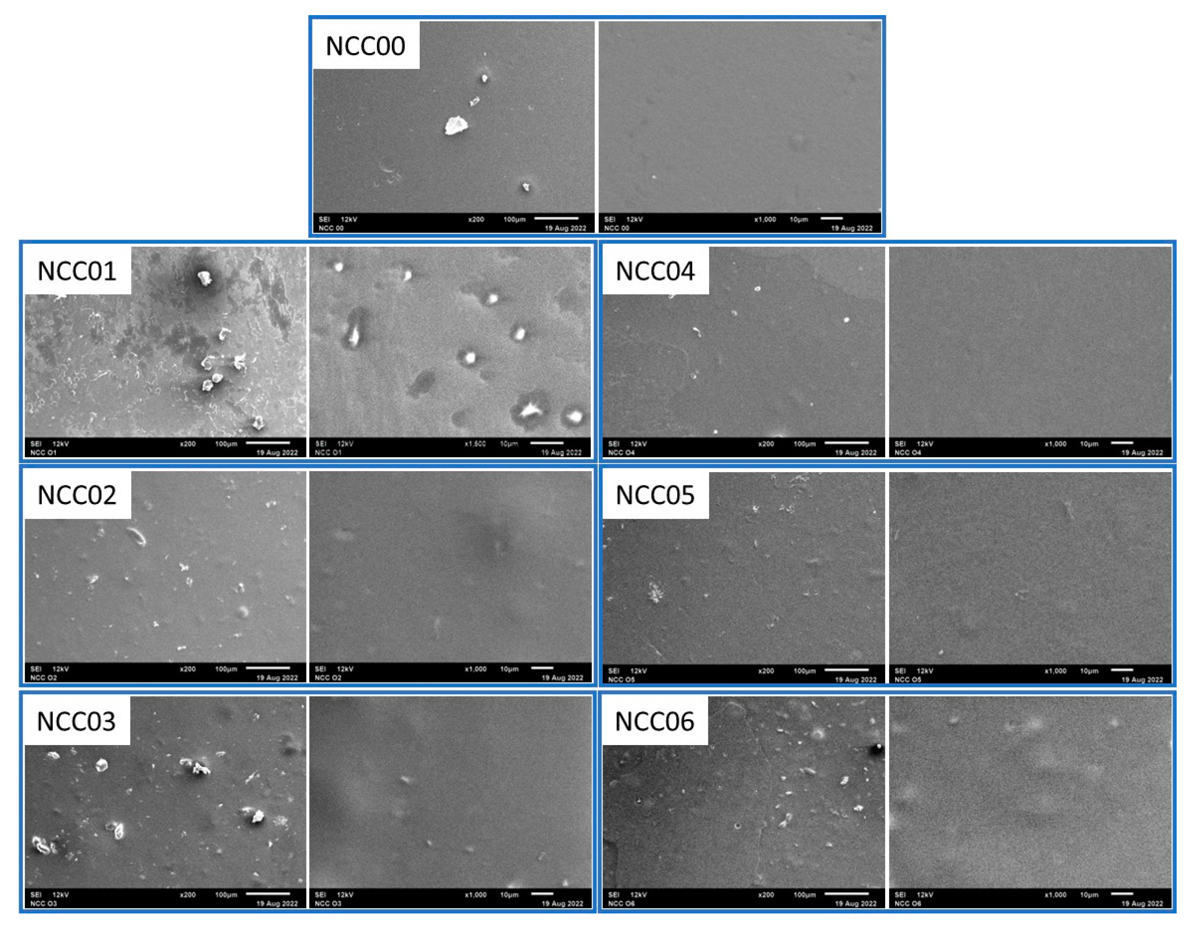 Polymers 14 03738 g005 550