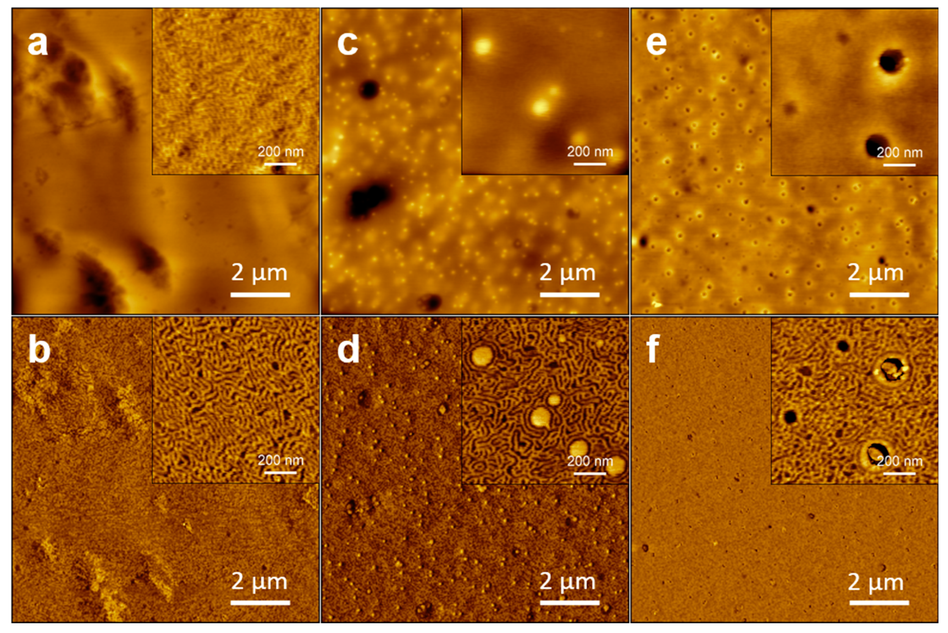 Polymers 14 03742 g005 550