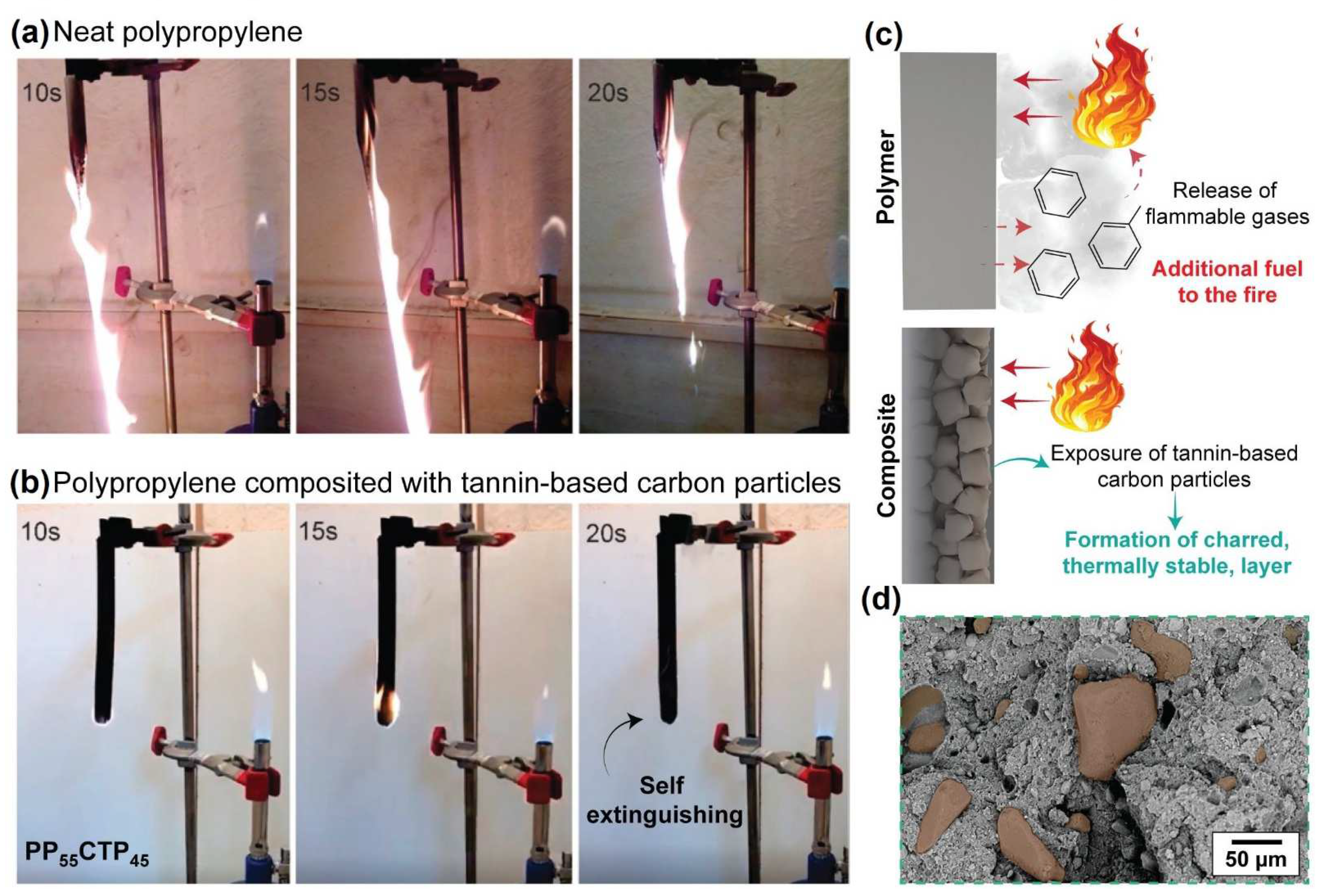Polymers 14 03743 g005