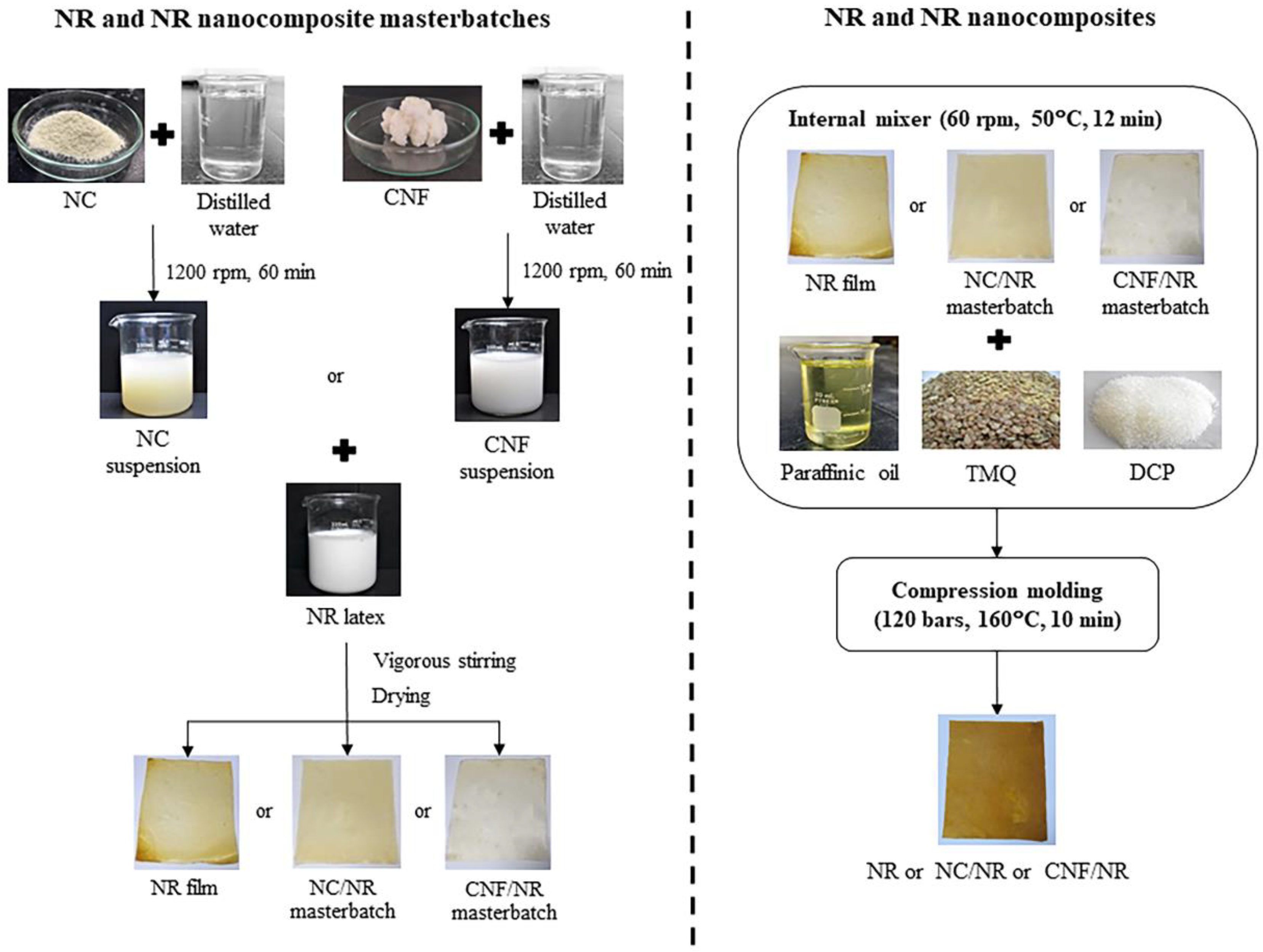 Polymers 14 03747 g001