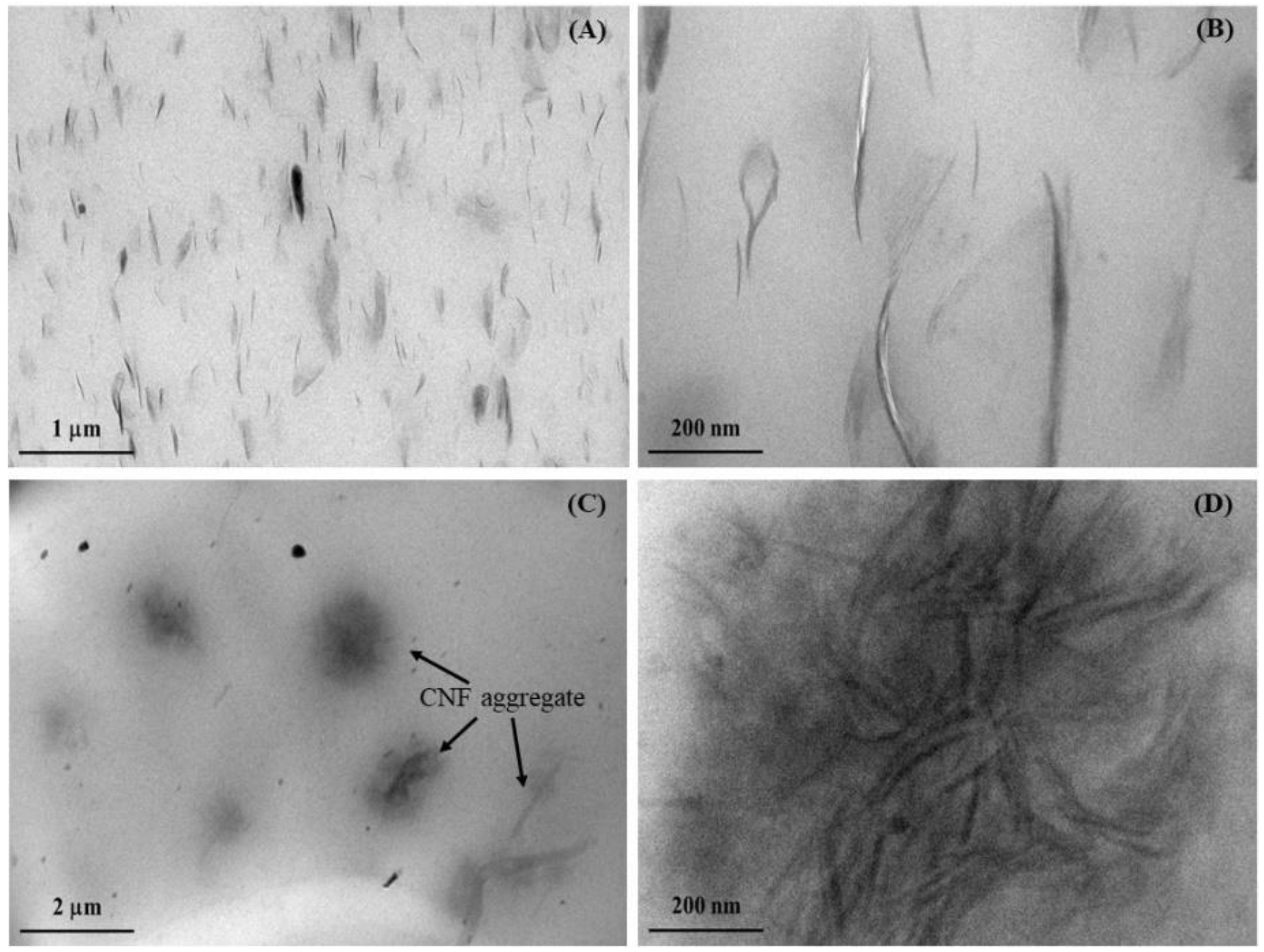Polymers 14 03747 g002