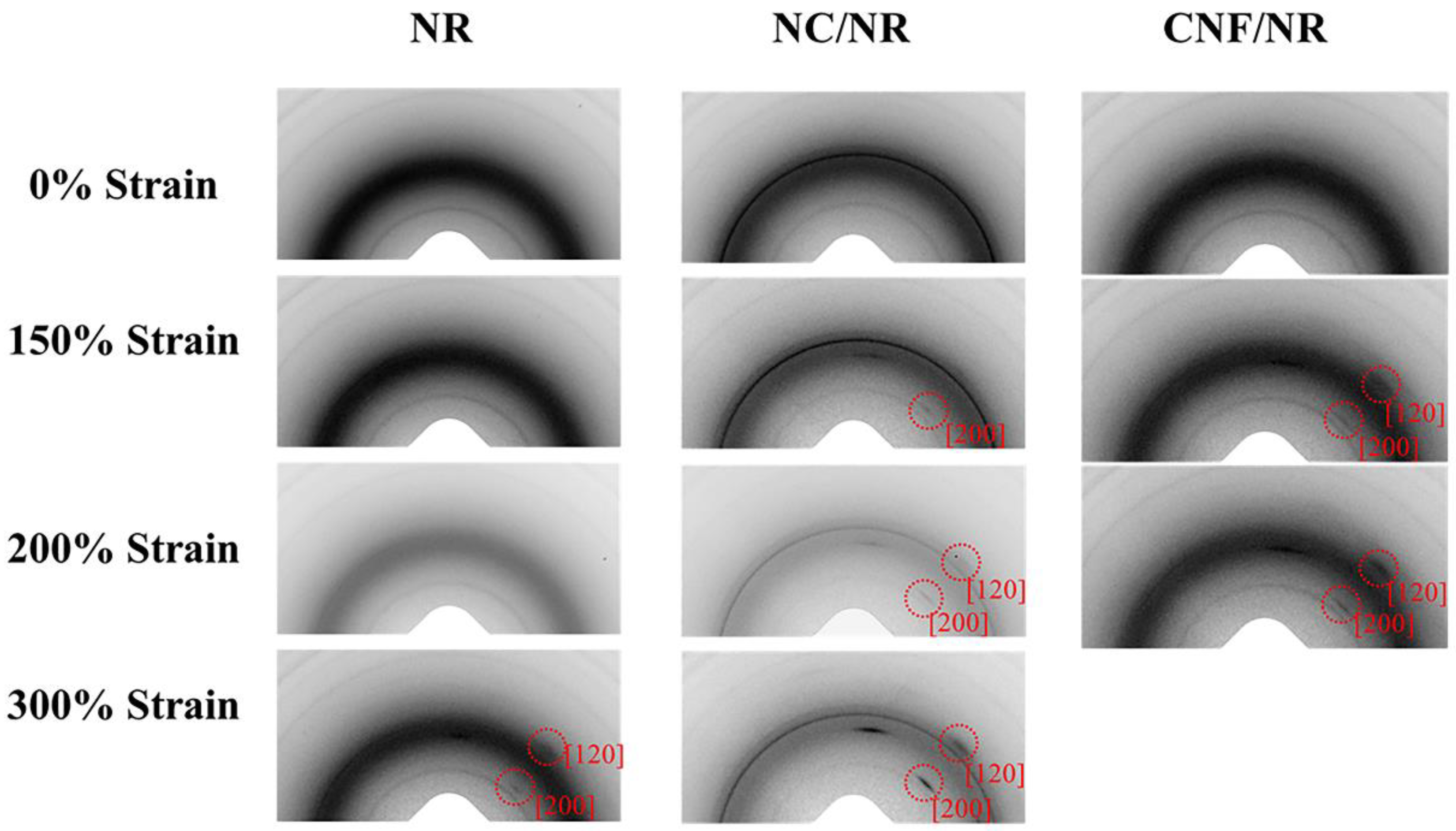Polymers 14 03747 g005