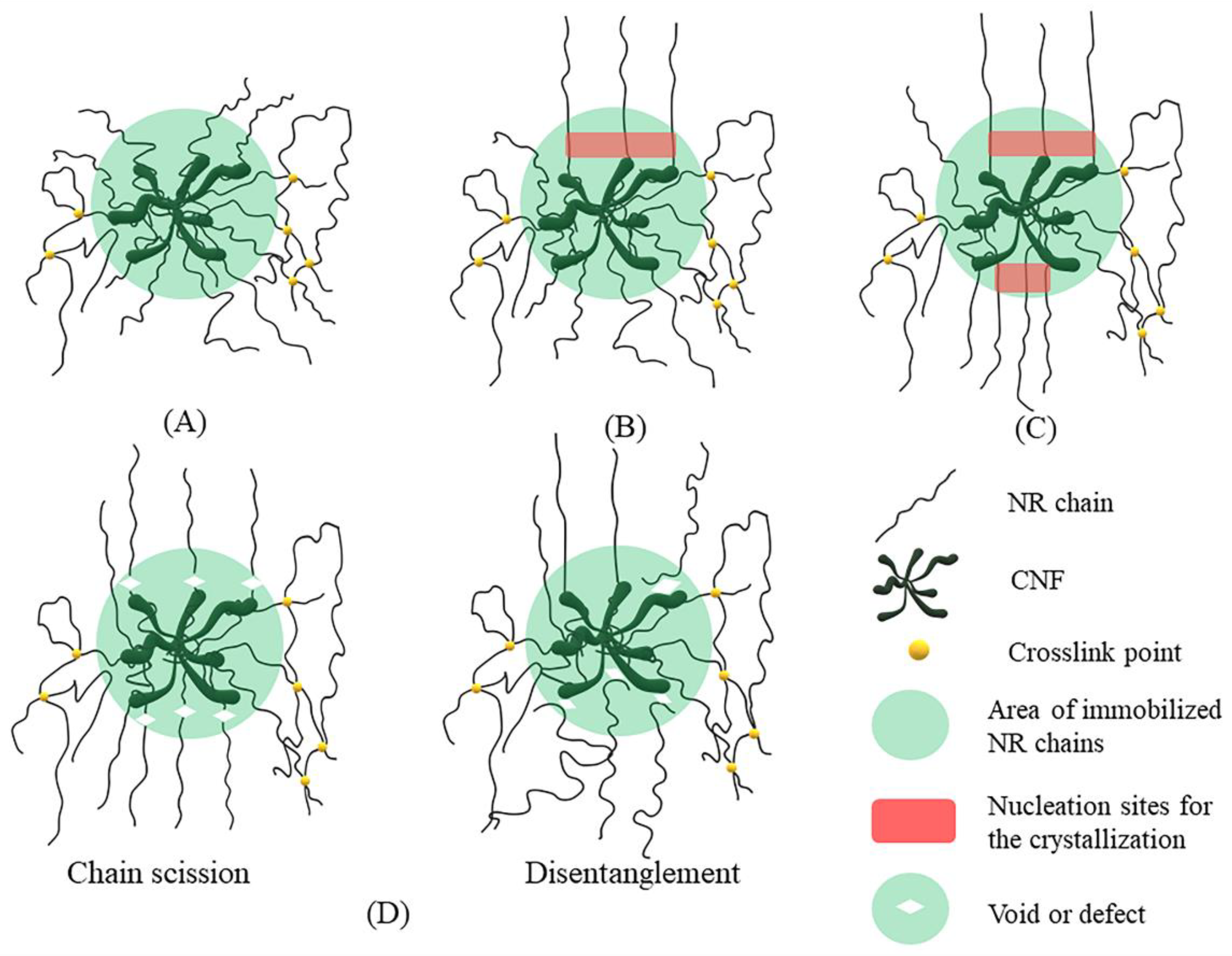 Polymers 14 03747 g010