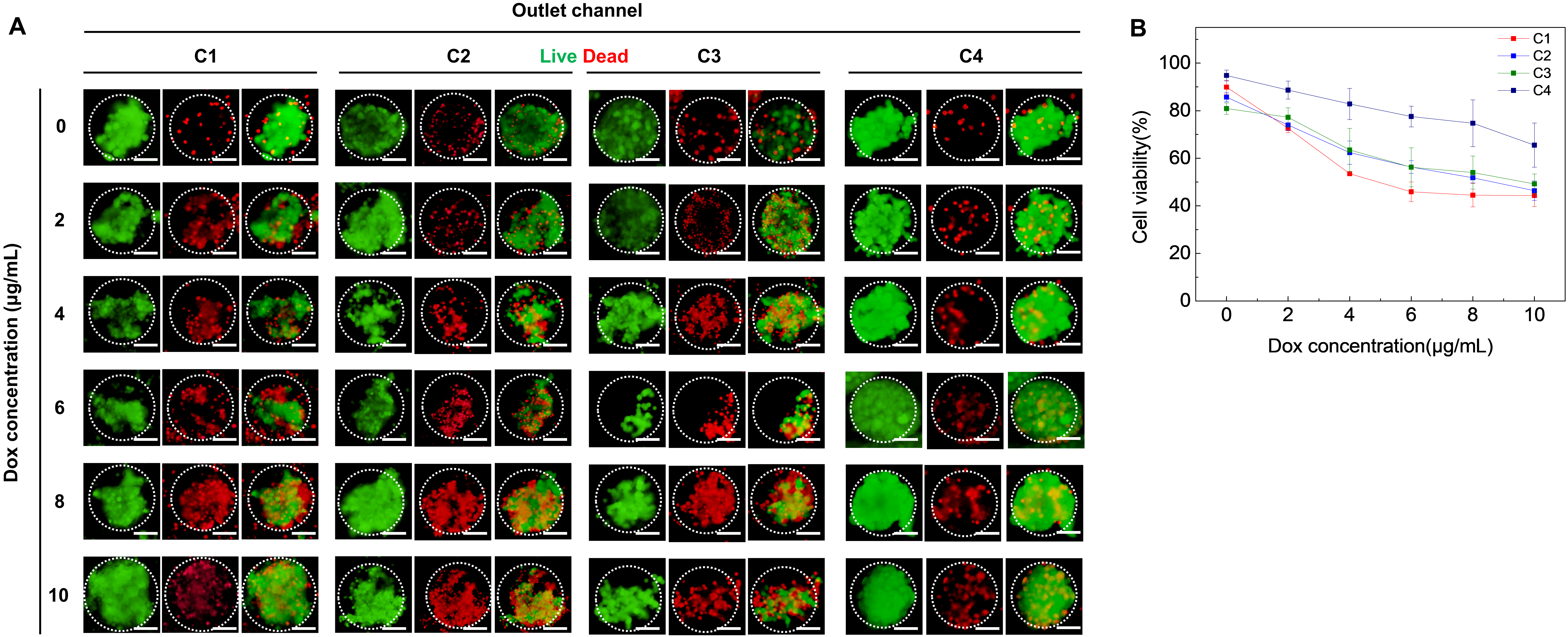 Polymers 14 03752 g004 550