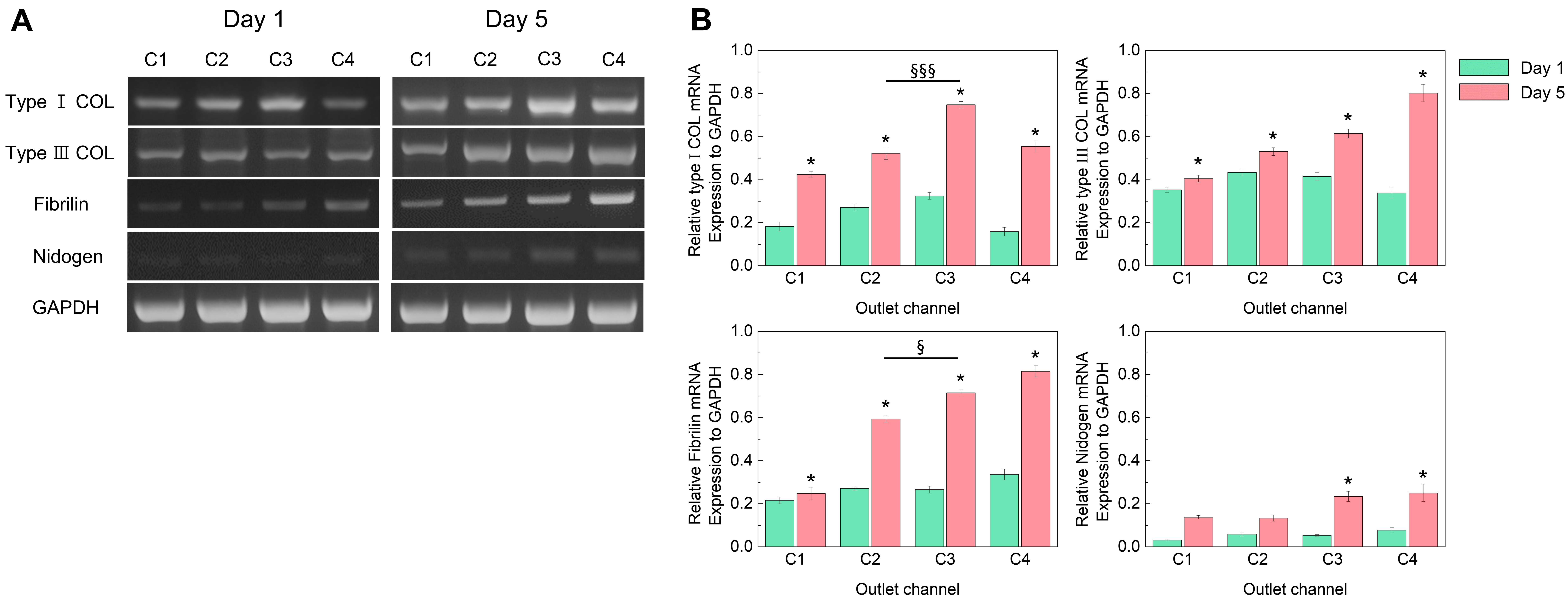 Polymers 14 03752 g005 550
