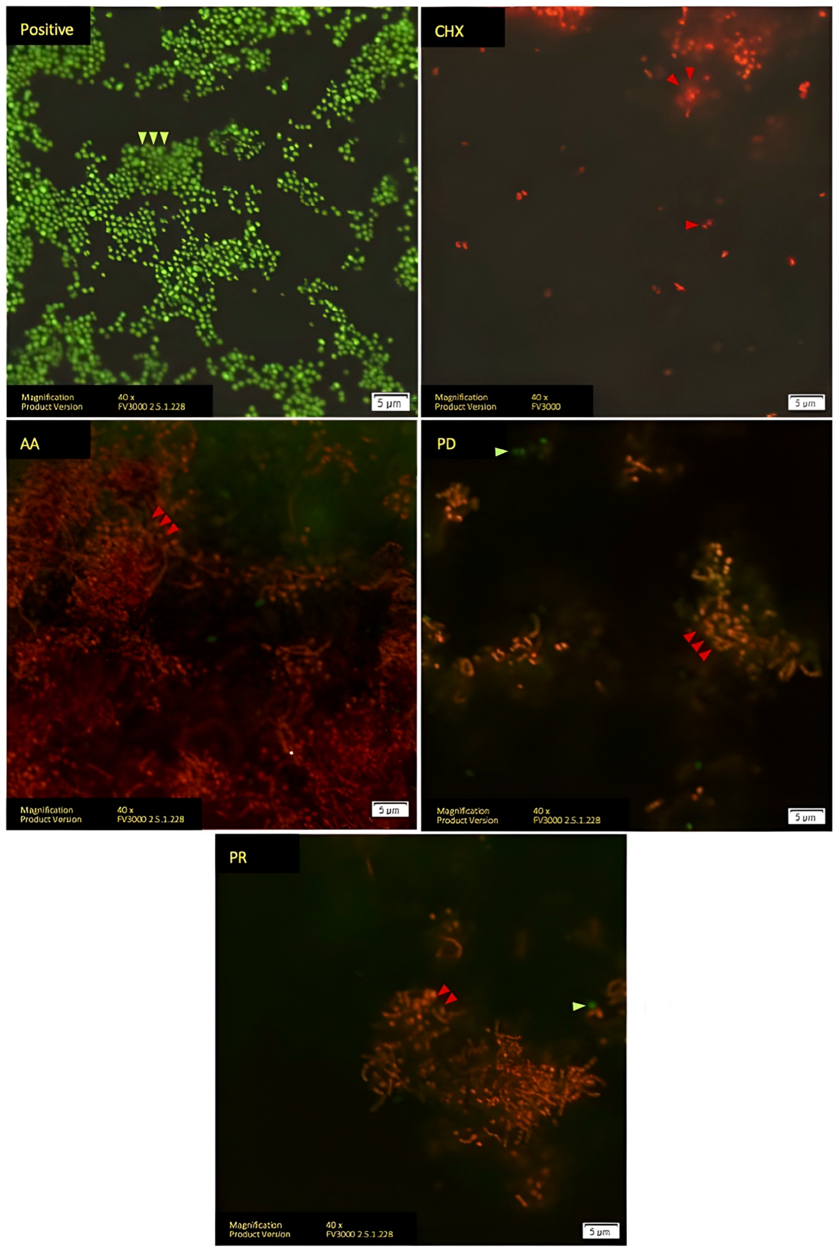 Polymers 14 03753 g002 550