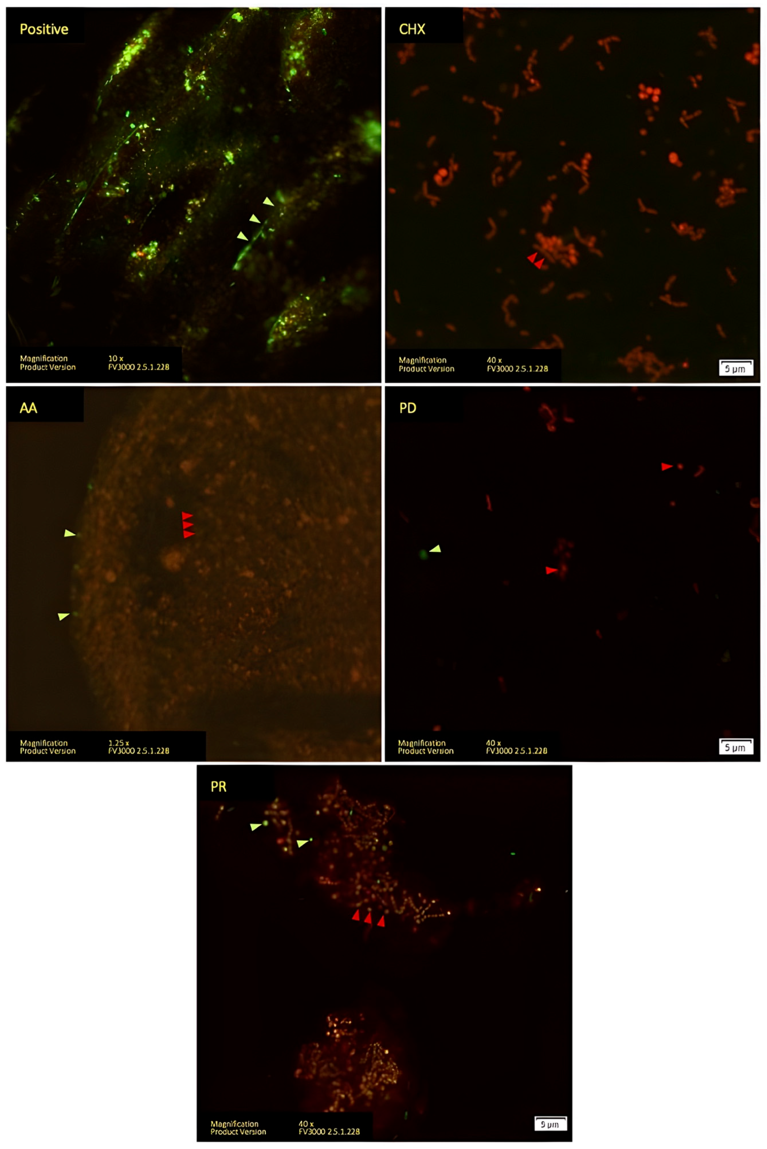 Polymers 14 03753 g003 550
