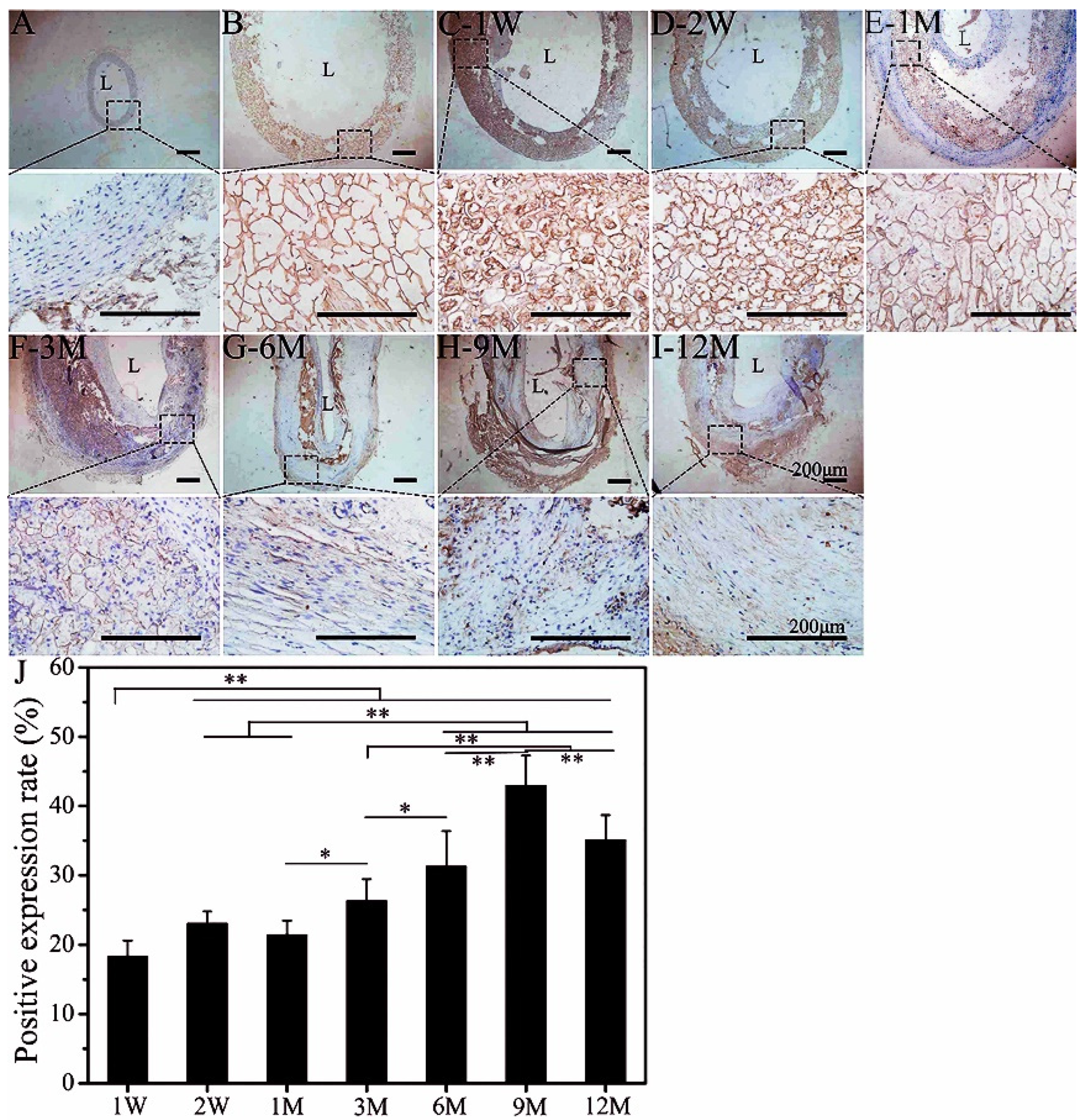 Polymers 14 03754 g002