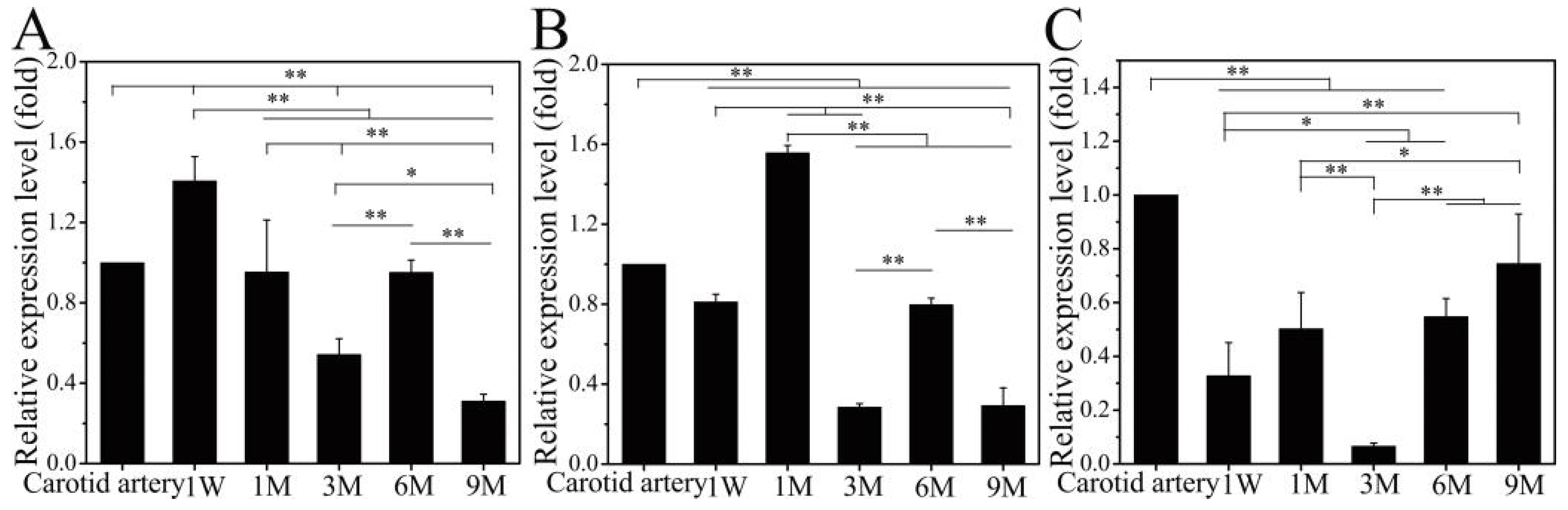 Polymers 14 03754 g005