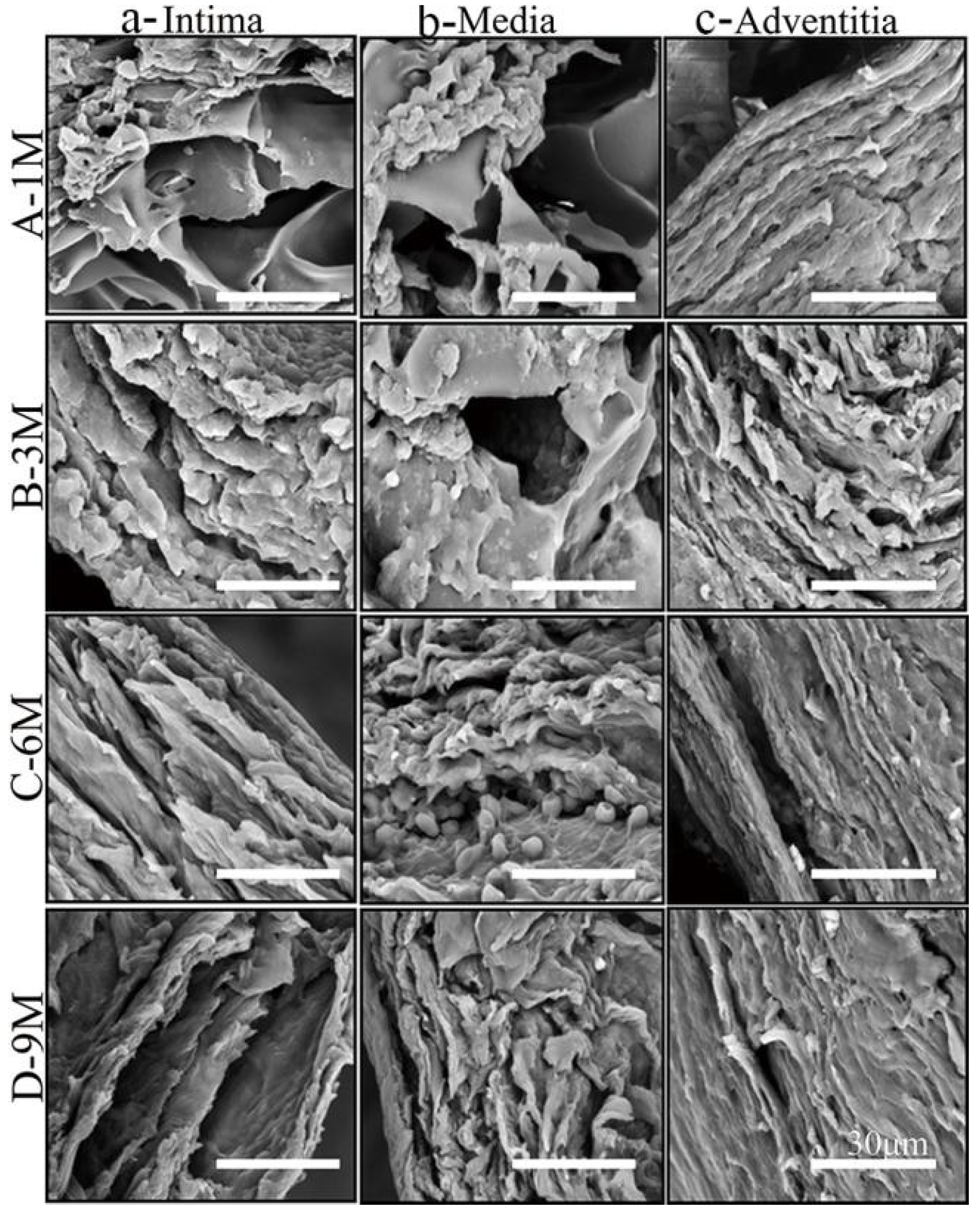 Polymers 14 03754 g006