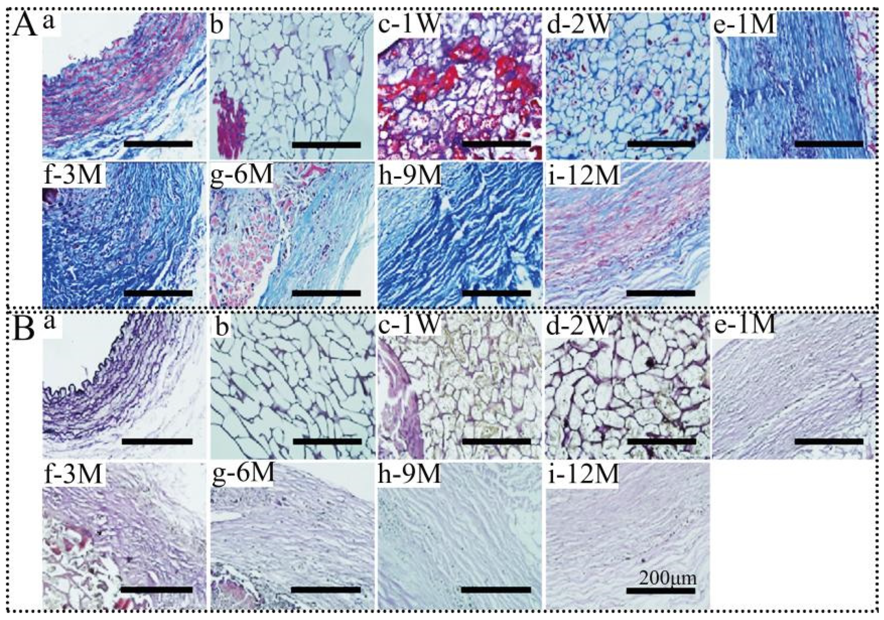 Polymers 14 03754 g007