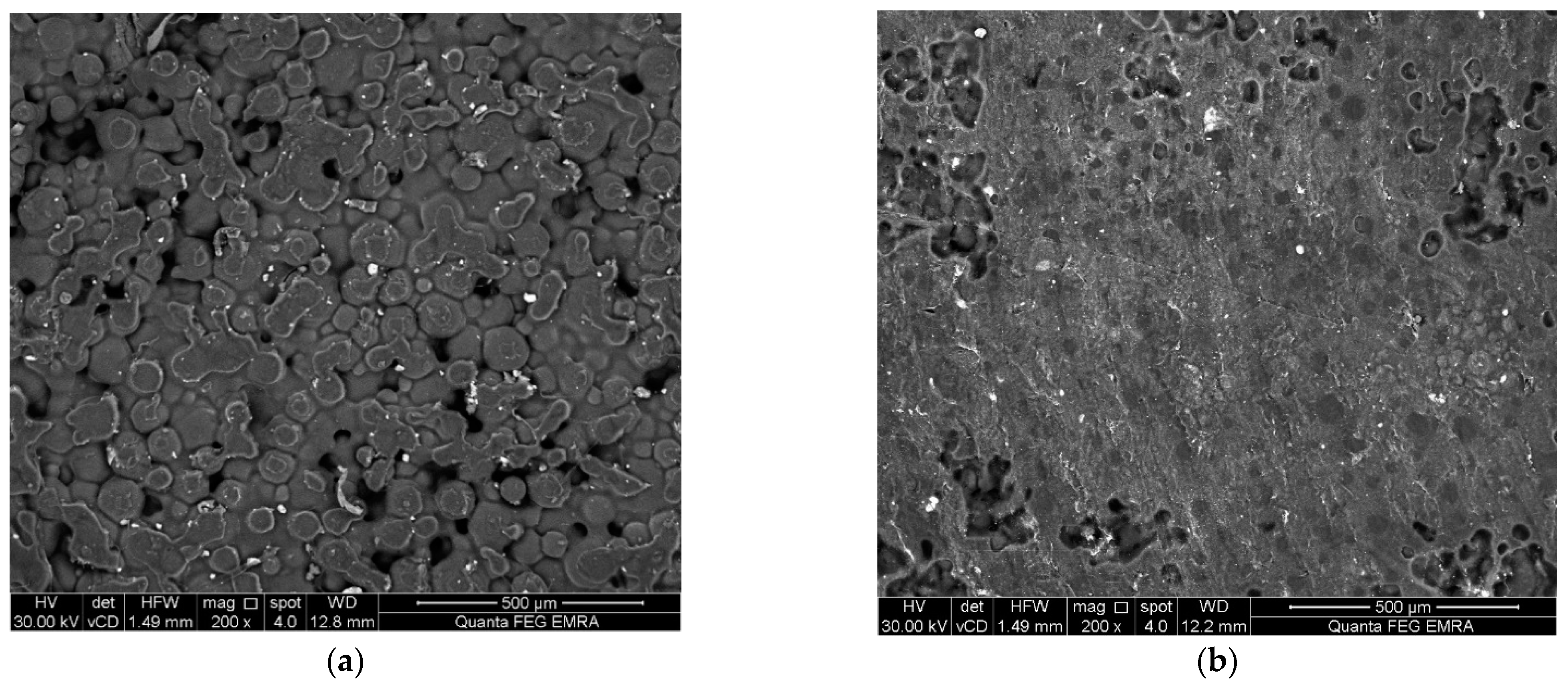 Polymers 14 03767 g002 Polymers 14 03767 g002