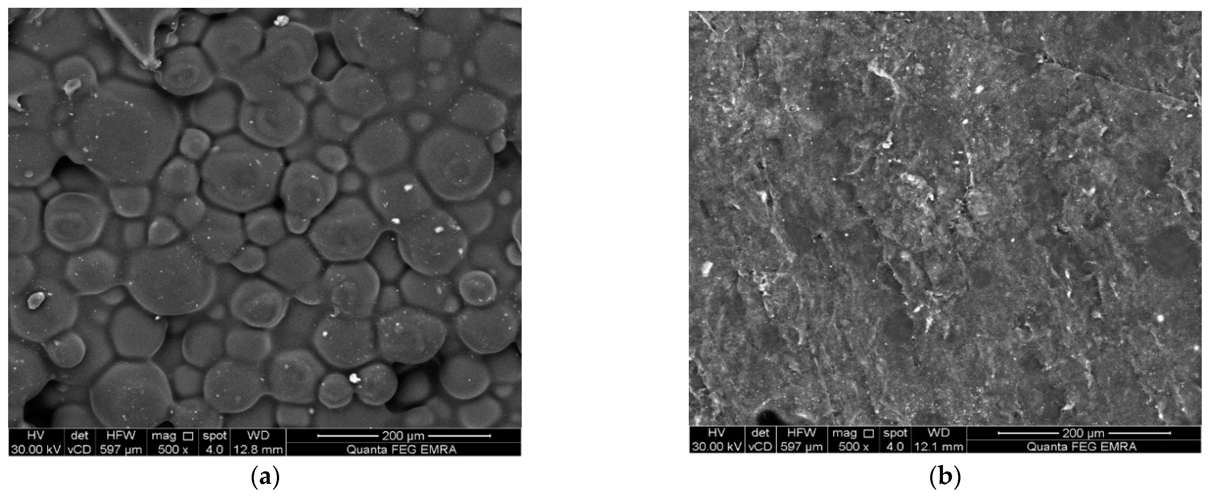 Polymers 14 03767 g003 Polymers 14 03767 g003