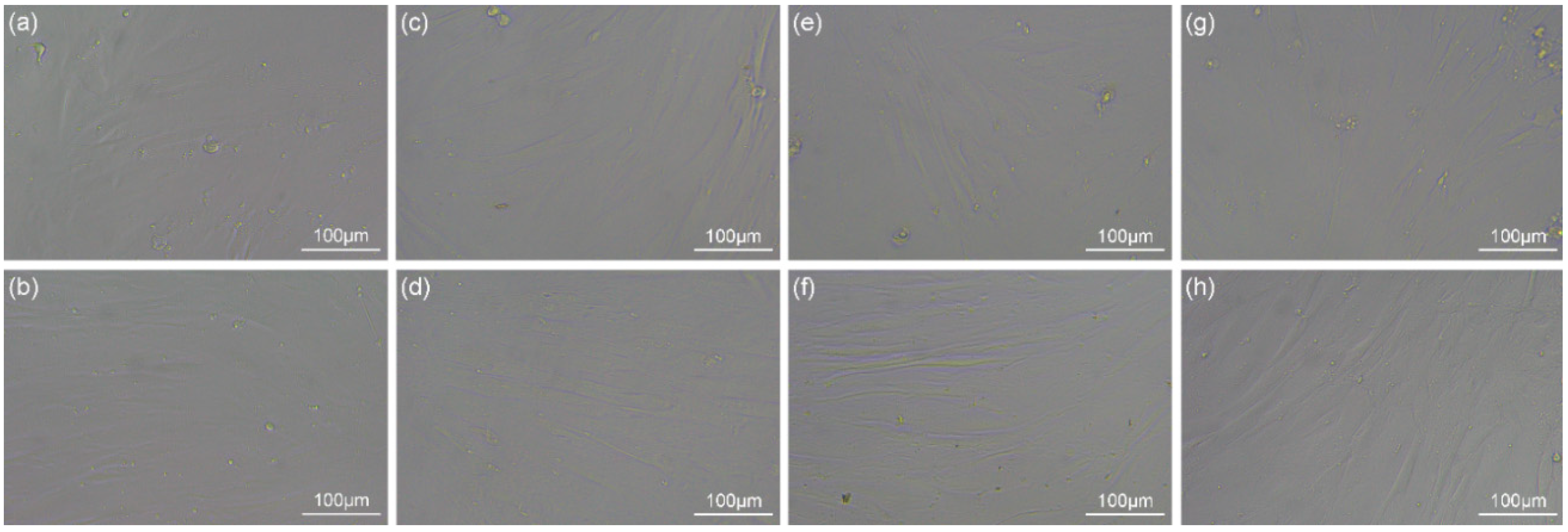 Polymers 14 03774 g014