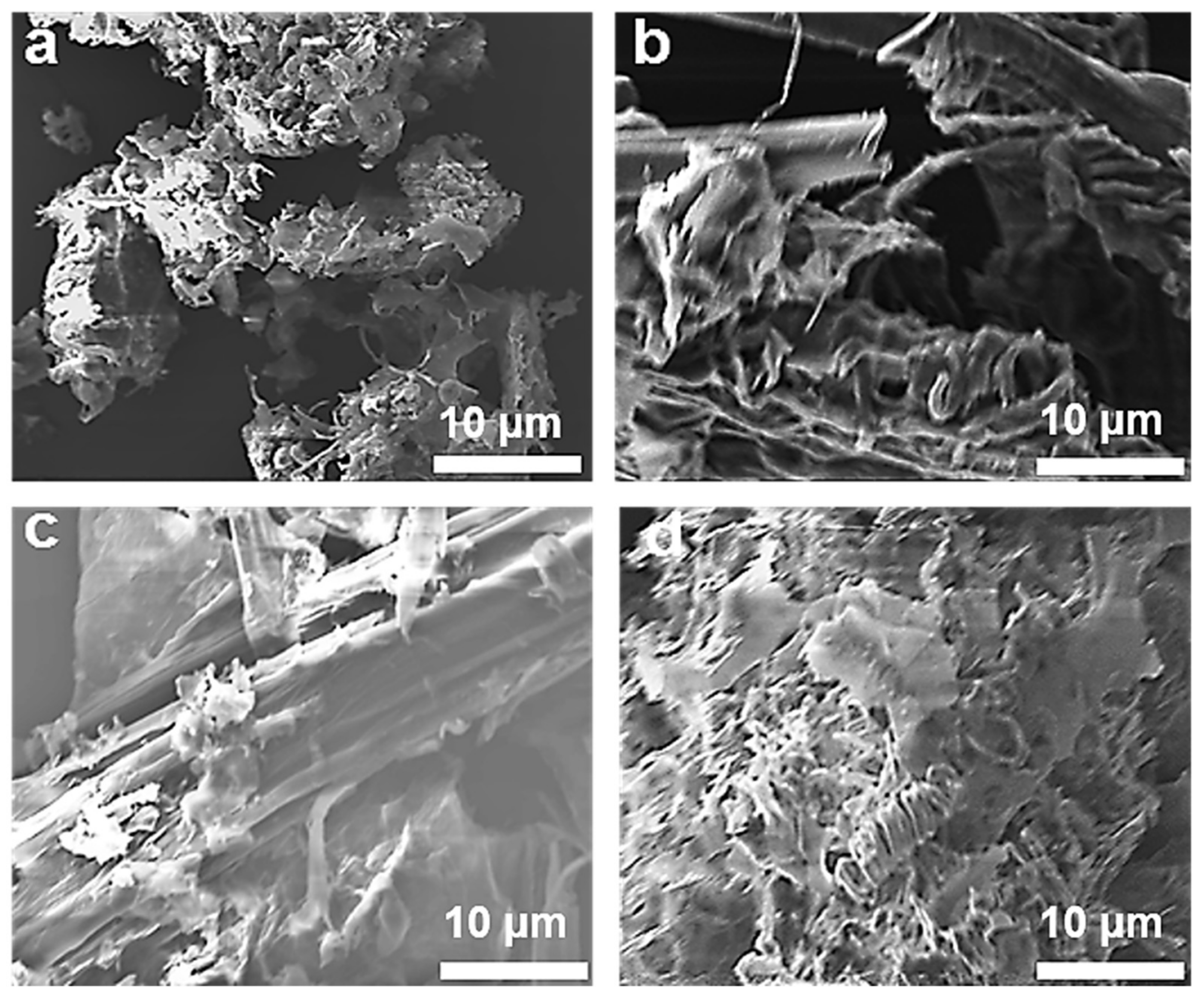 Polymers 14 03776 g005