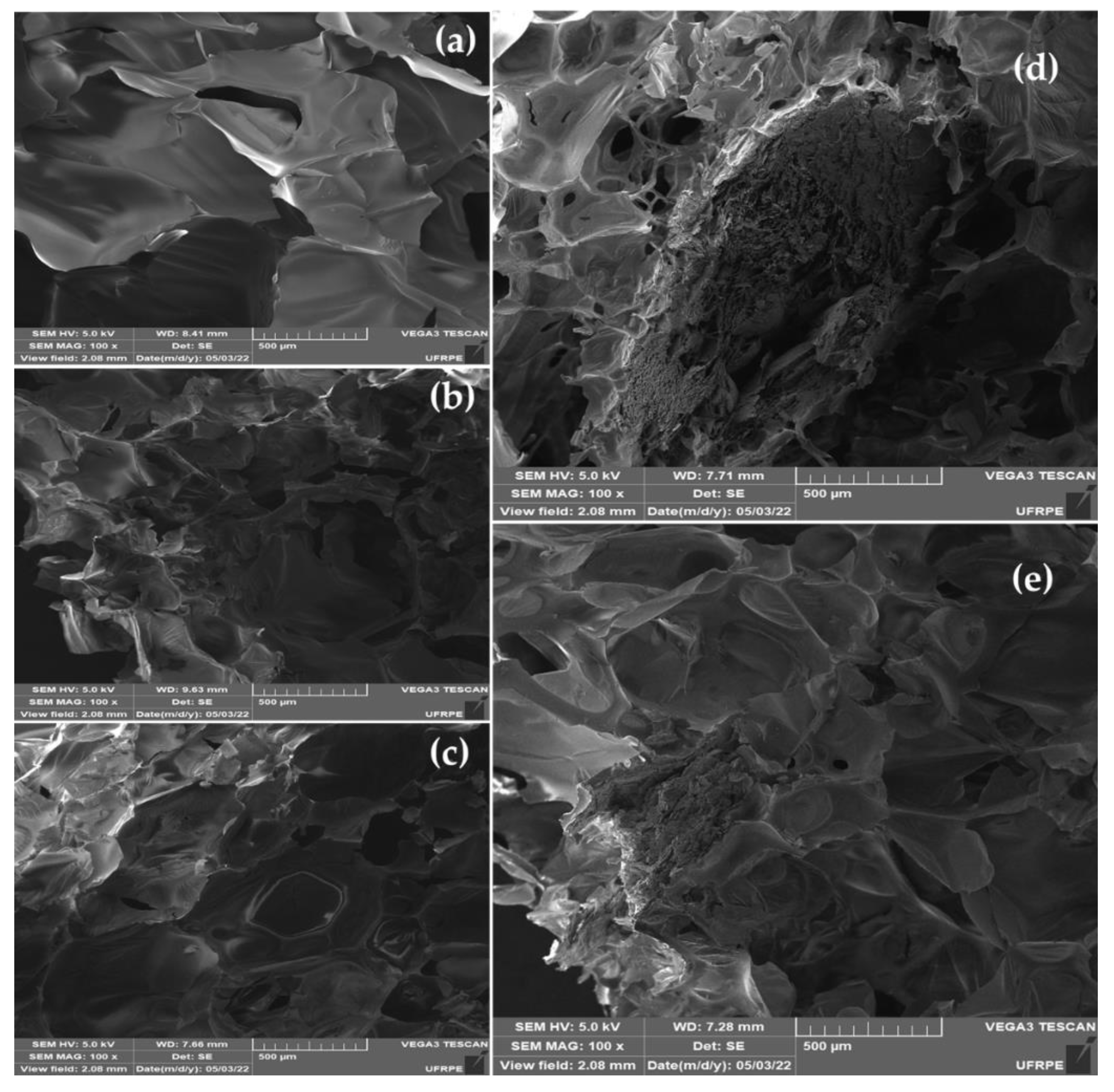 Polymers 14 03777 g004