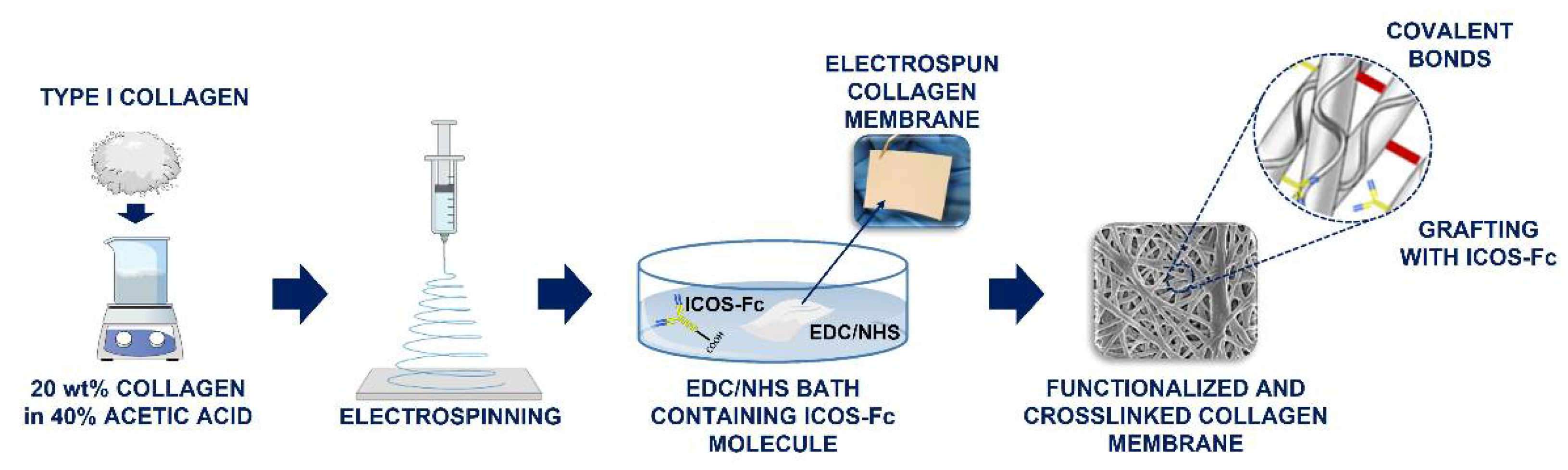 Polymers 14 03780 g001 550