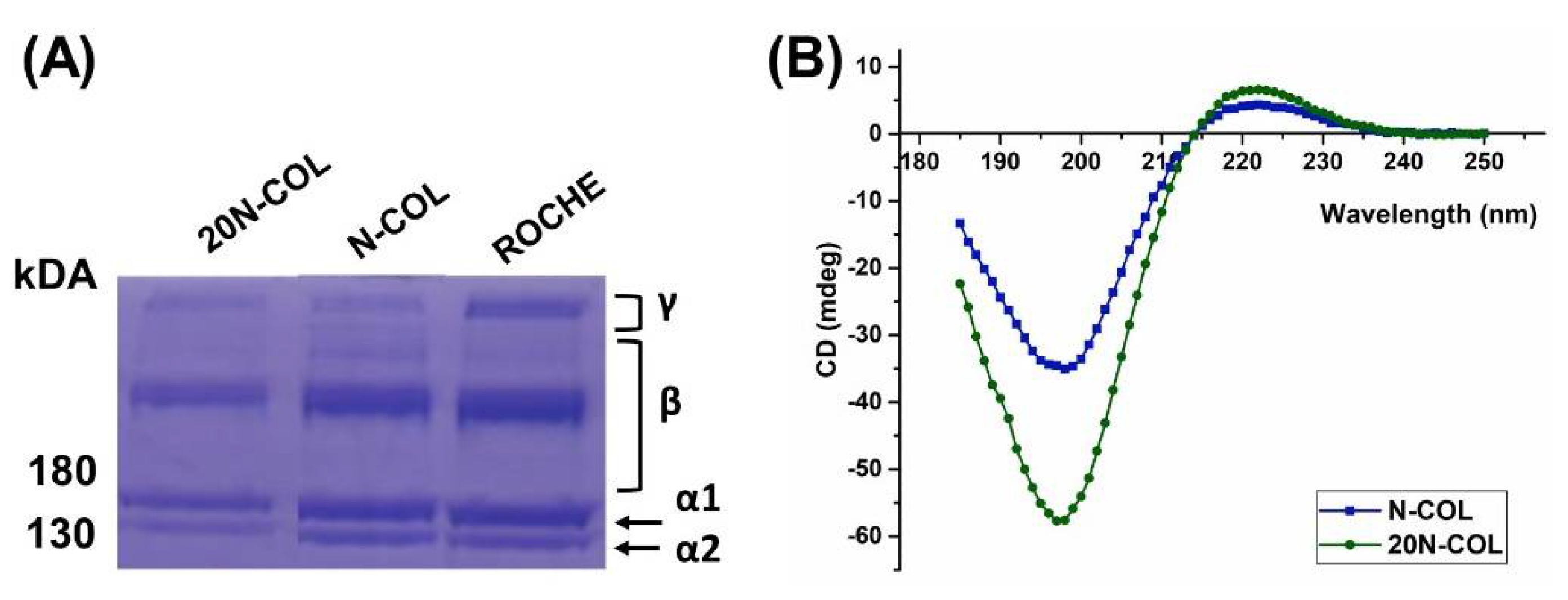 Polymers 14 03780 g002 550