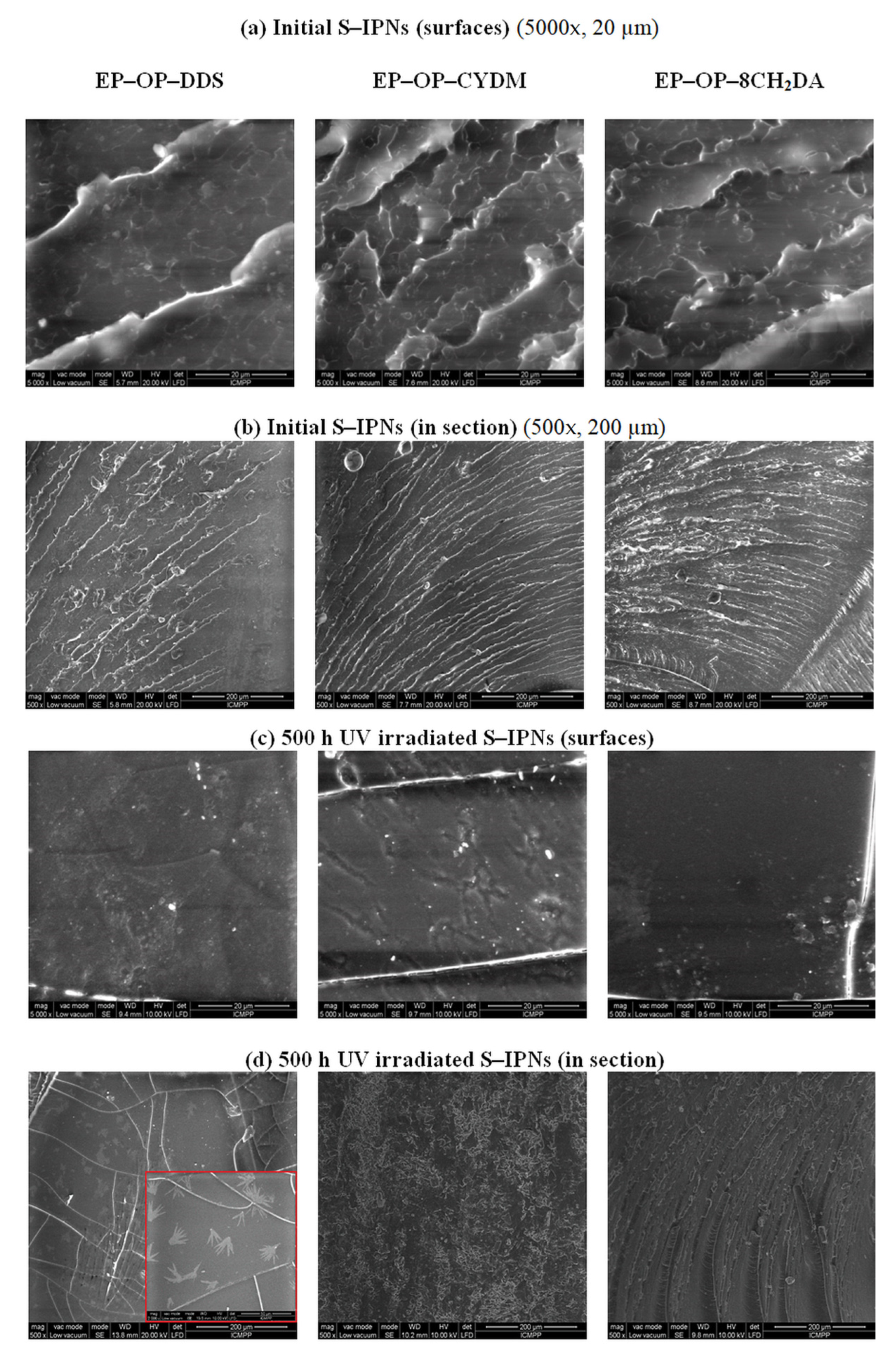 Polymers 14 03784 g009