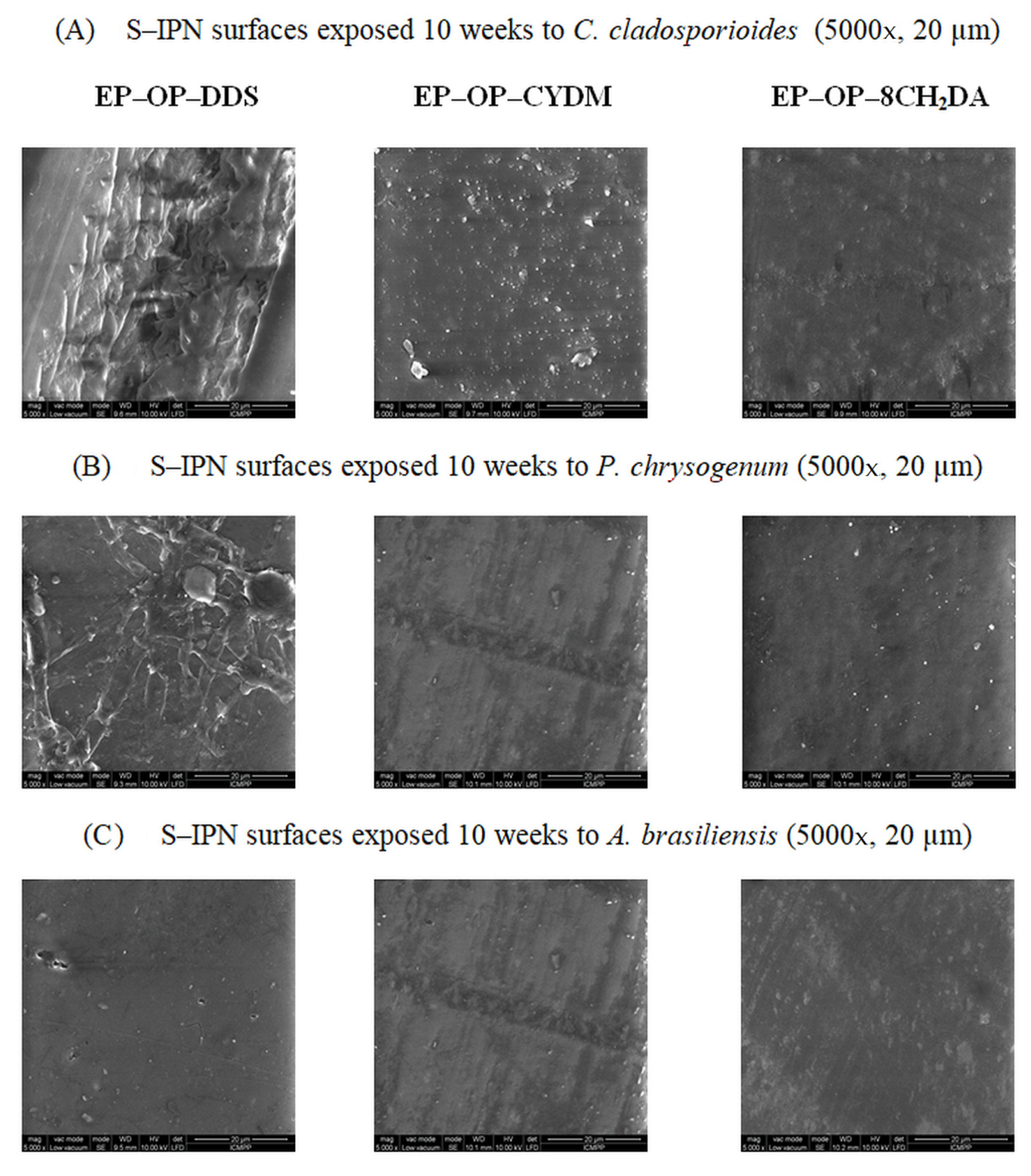 Polymers 14 03784 g014