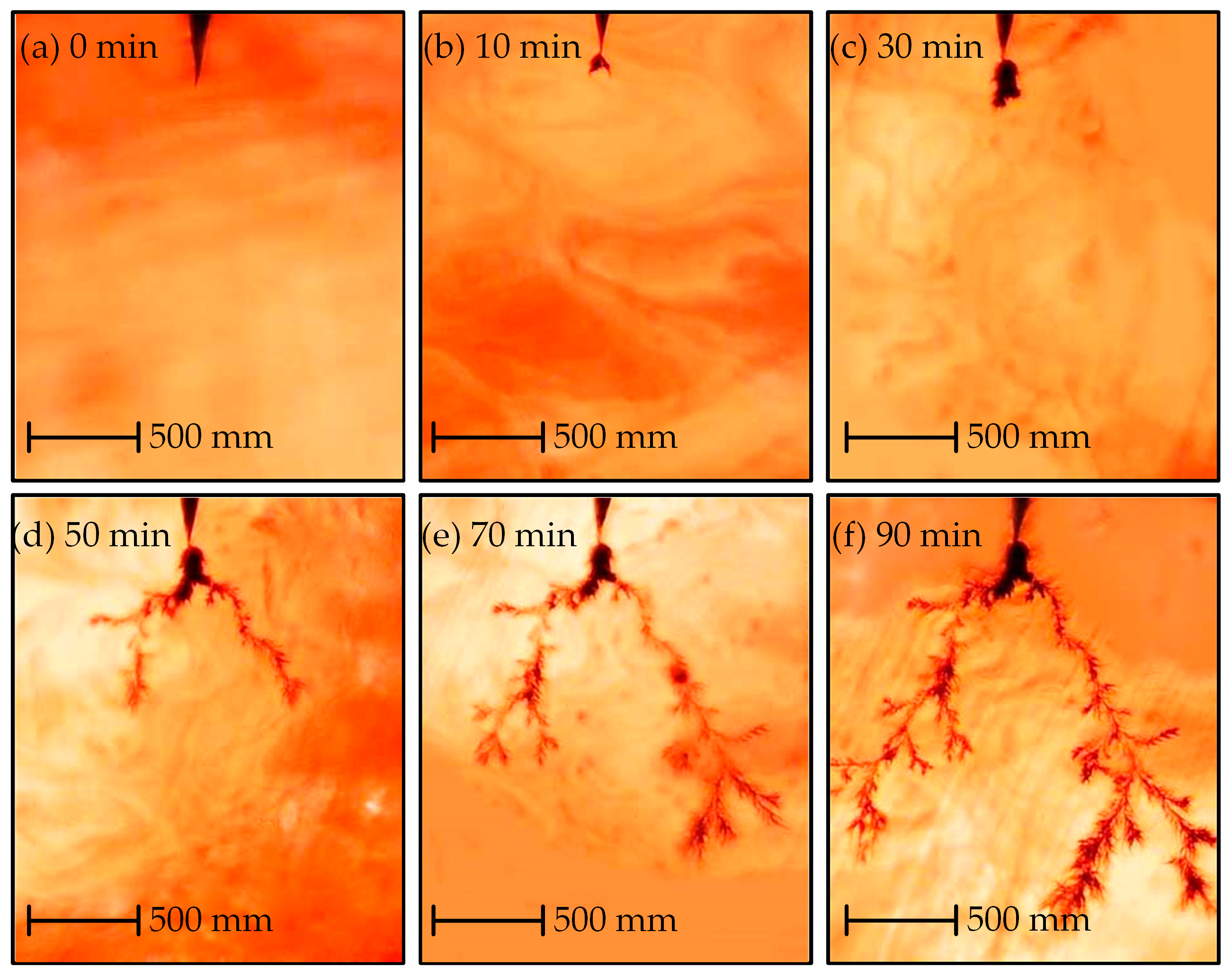 Polymers 14 03785 g007