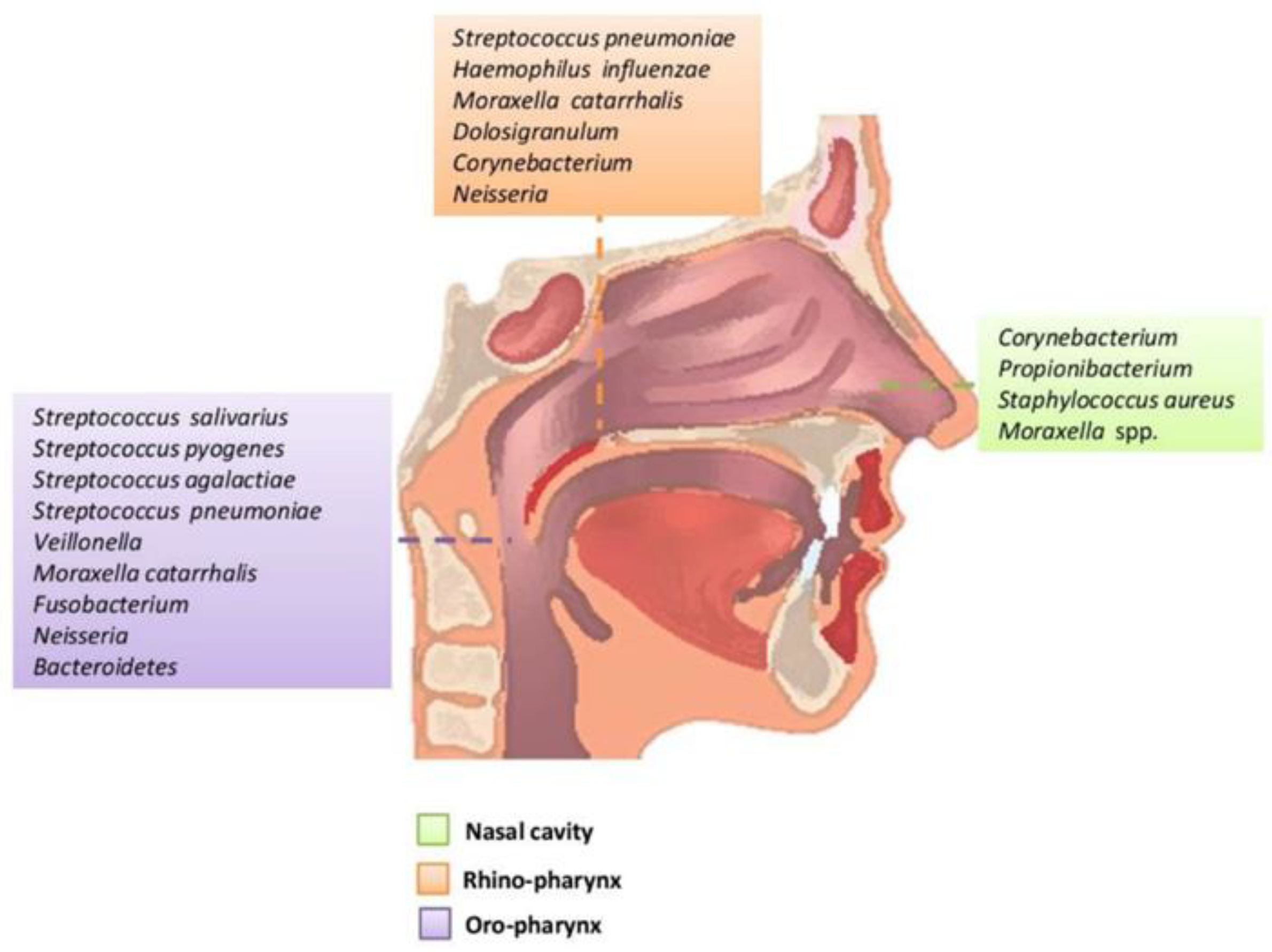 Polymers 14 03787 g002