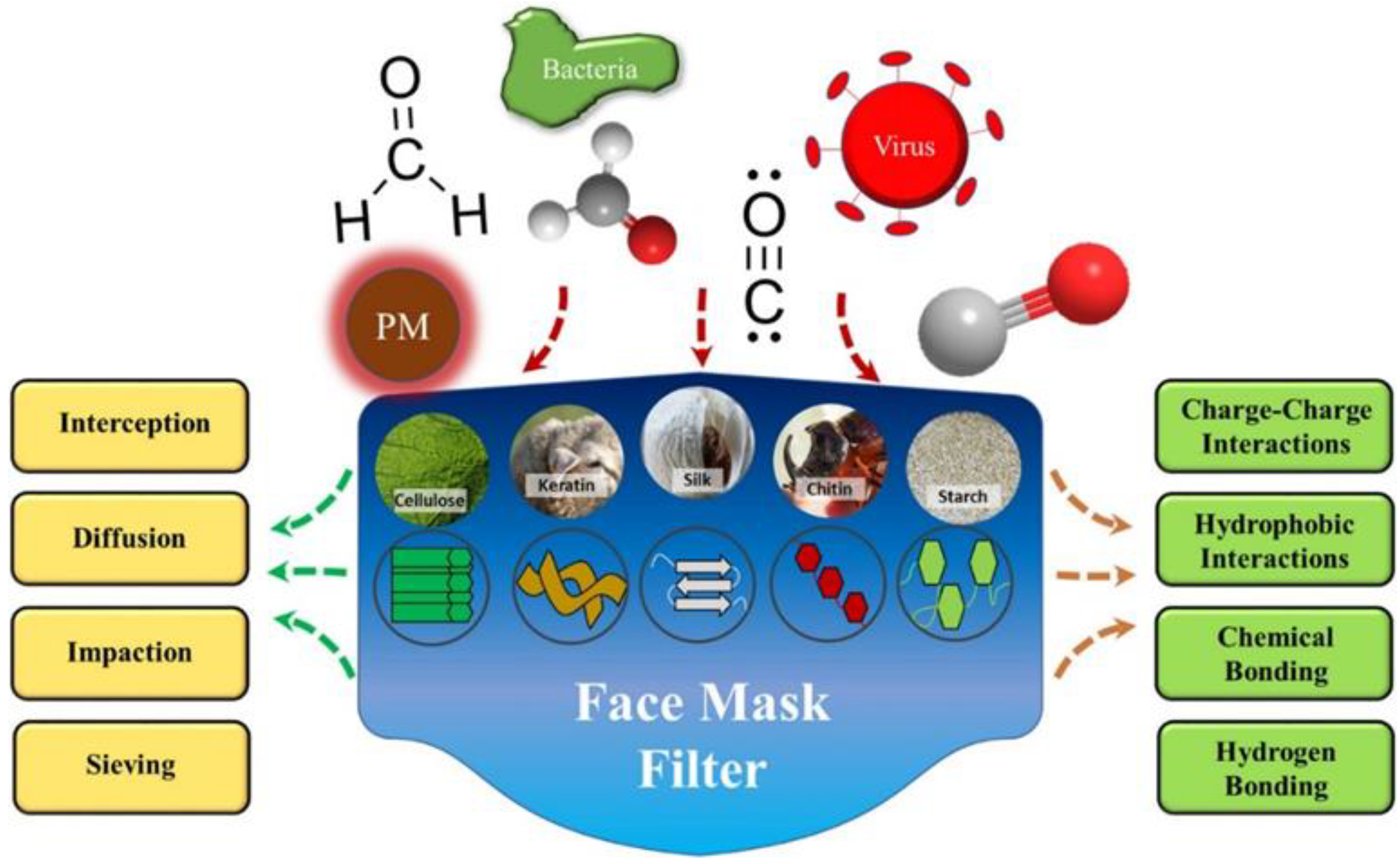 Polymers 14 03787 g005