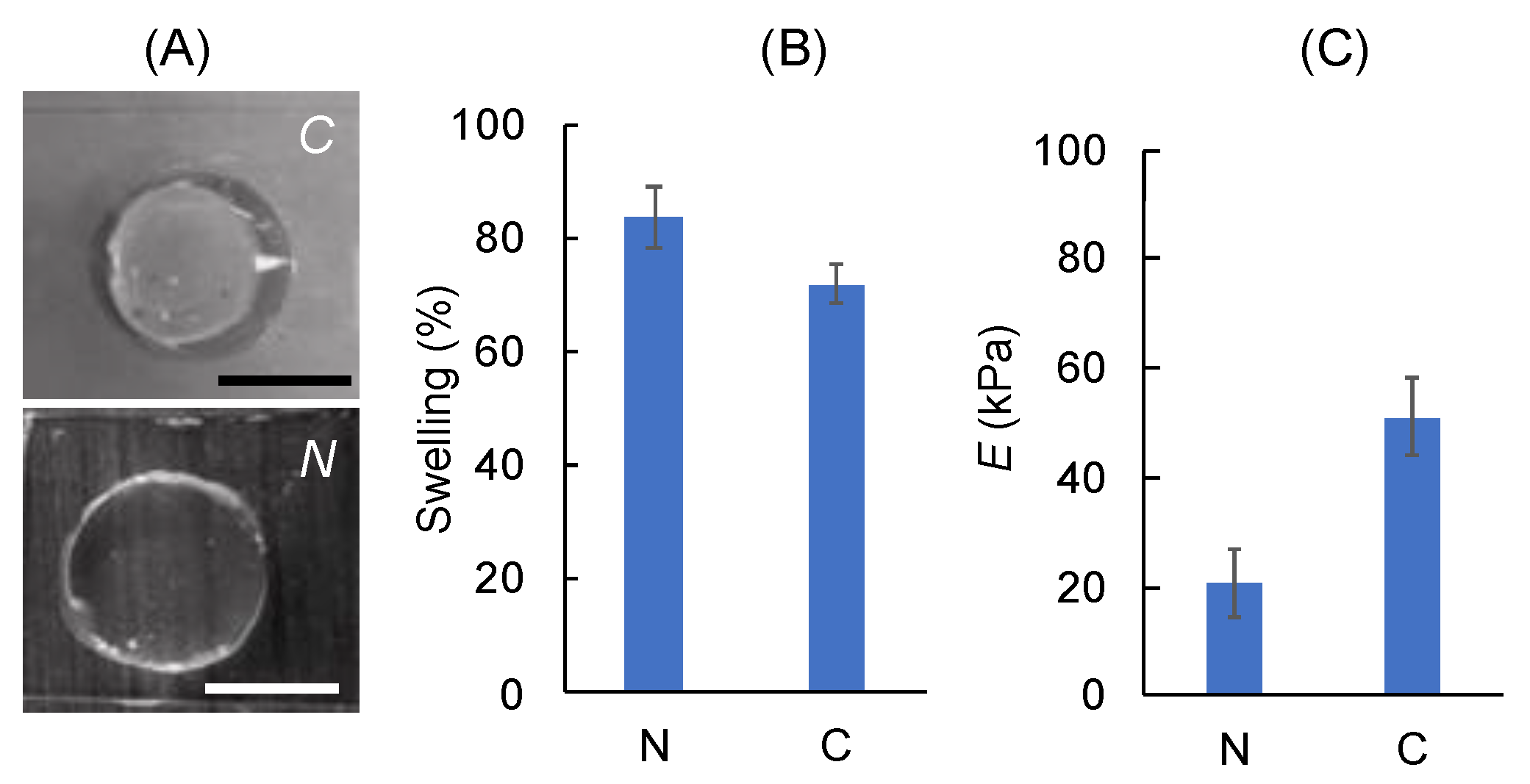 Polymers 14 03788 g005