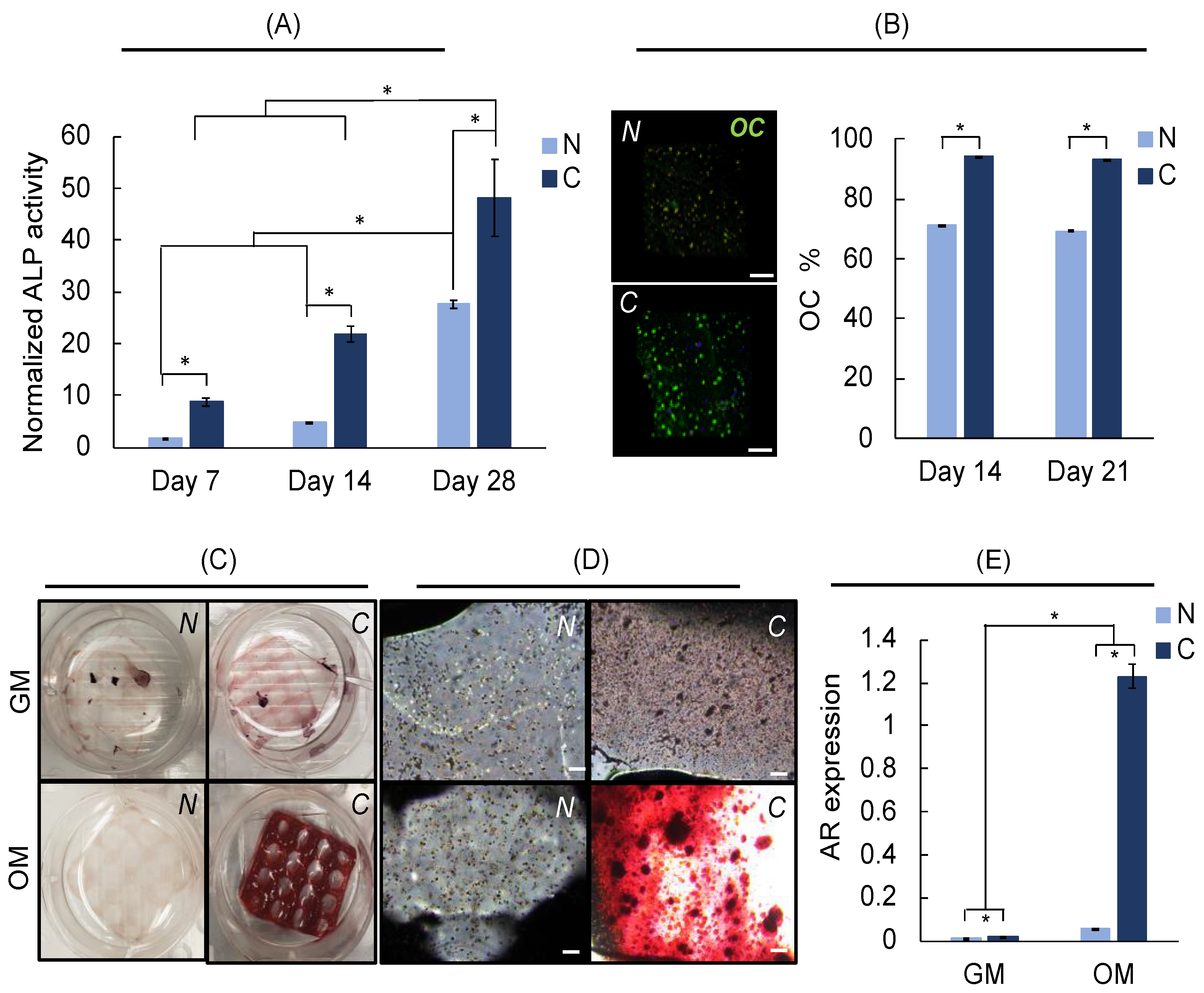 Polymers 14 03788 g010