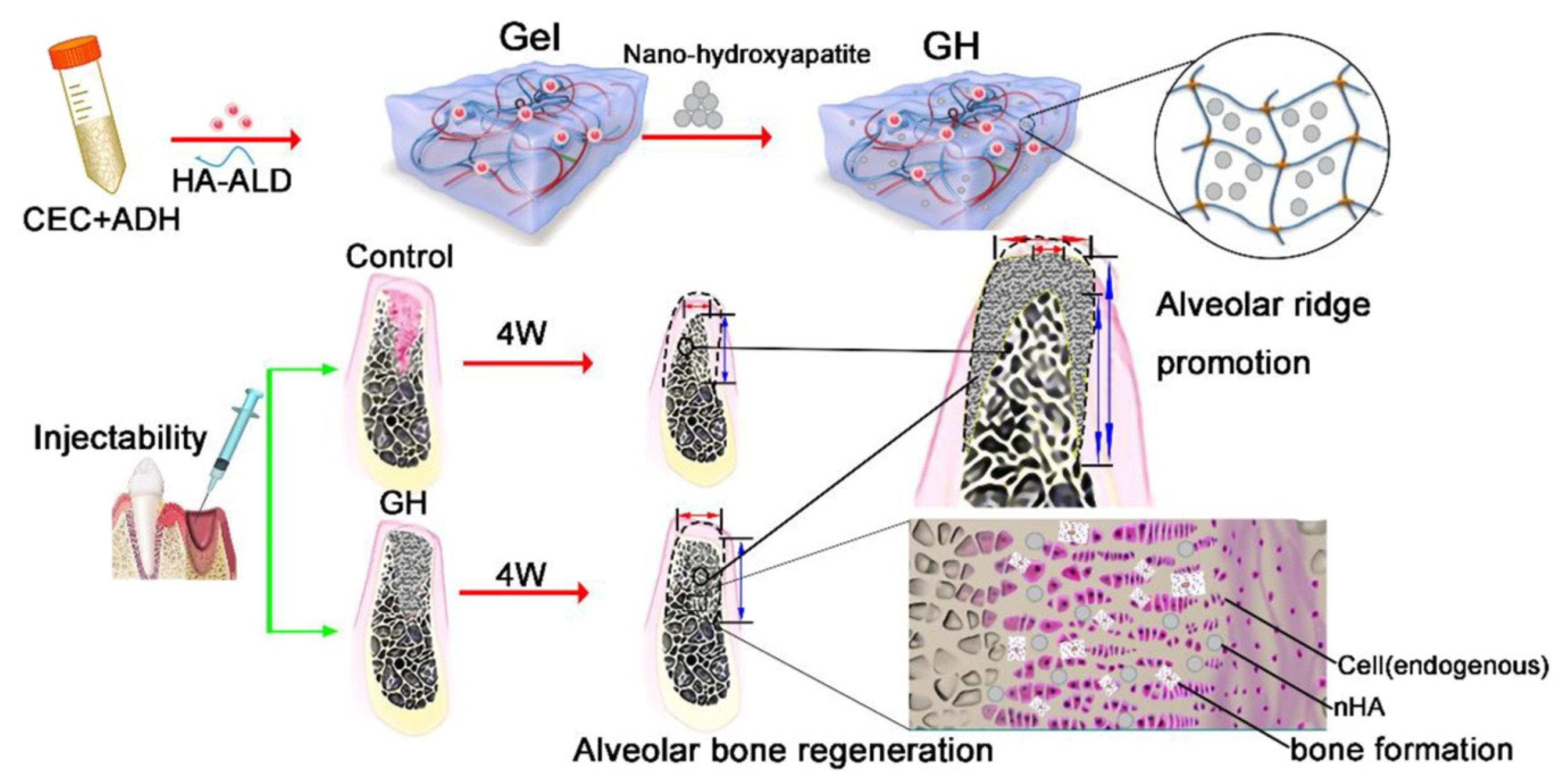 Polymers 14 03791 g004