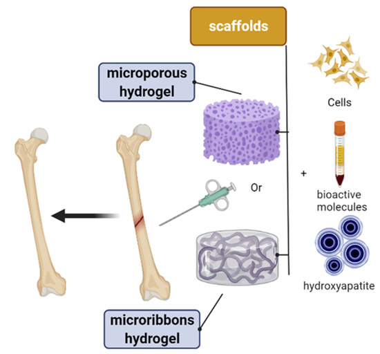 Application of Nano-Inspired Scaffolds-Based Biopolymer Application of Nano-Inspired Scaffolds-Based Biopolymer