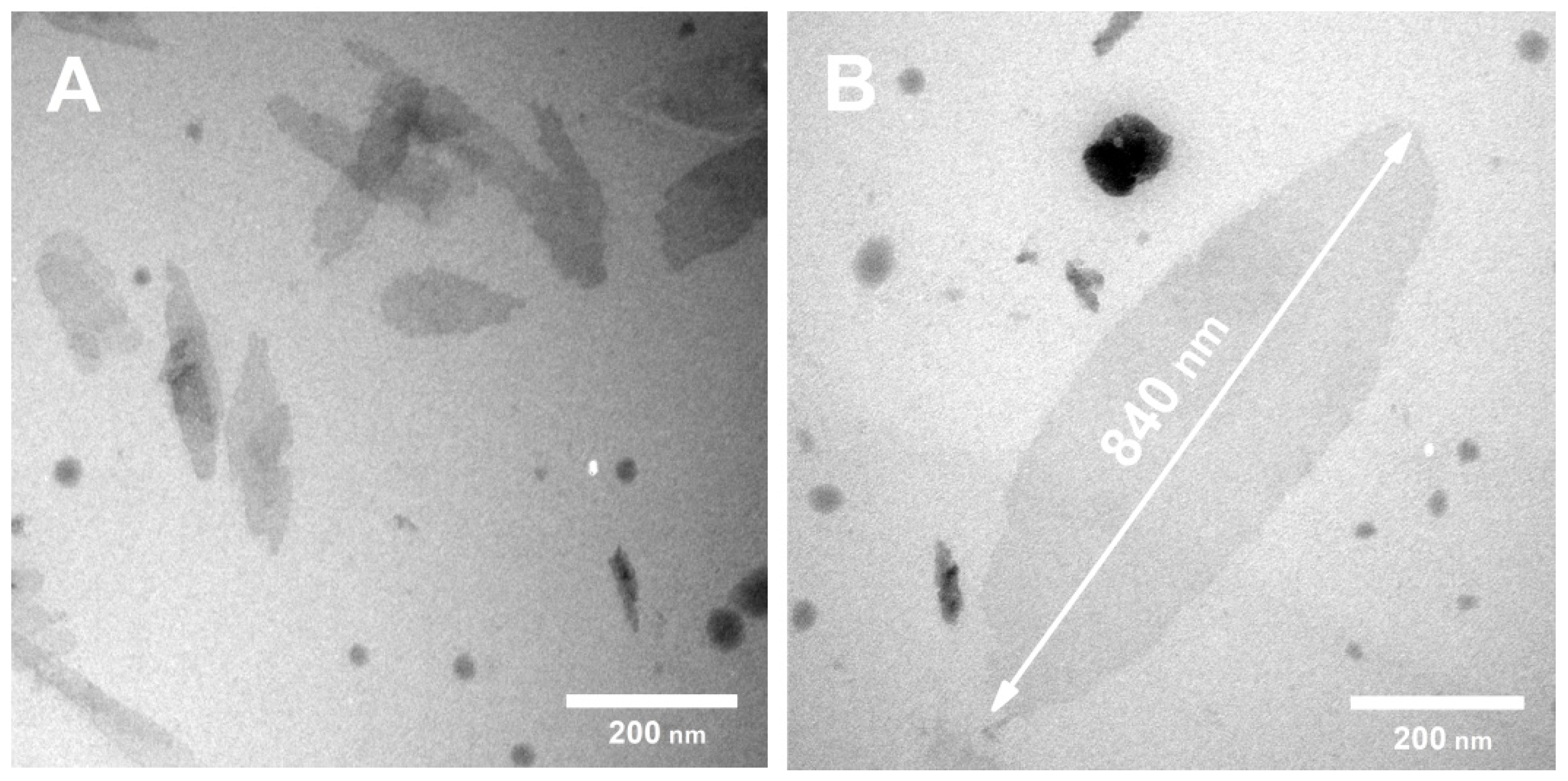 Polymers 14 03792 g002 550