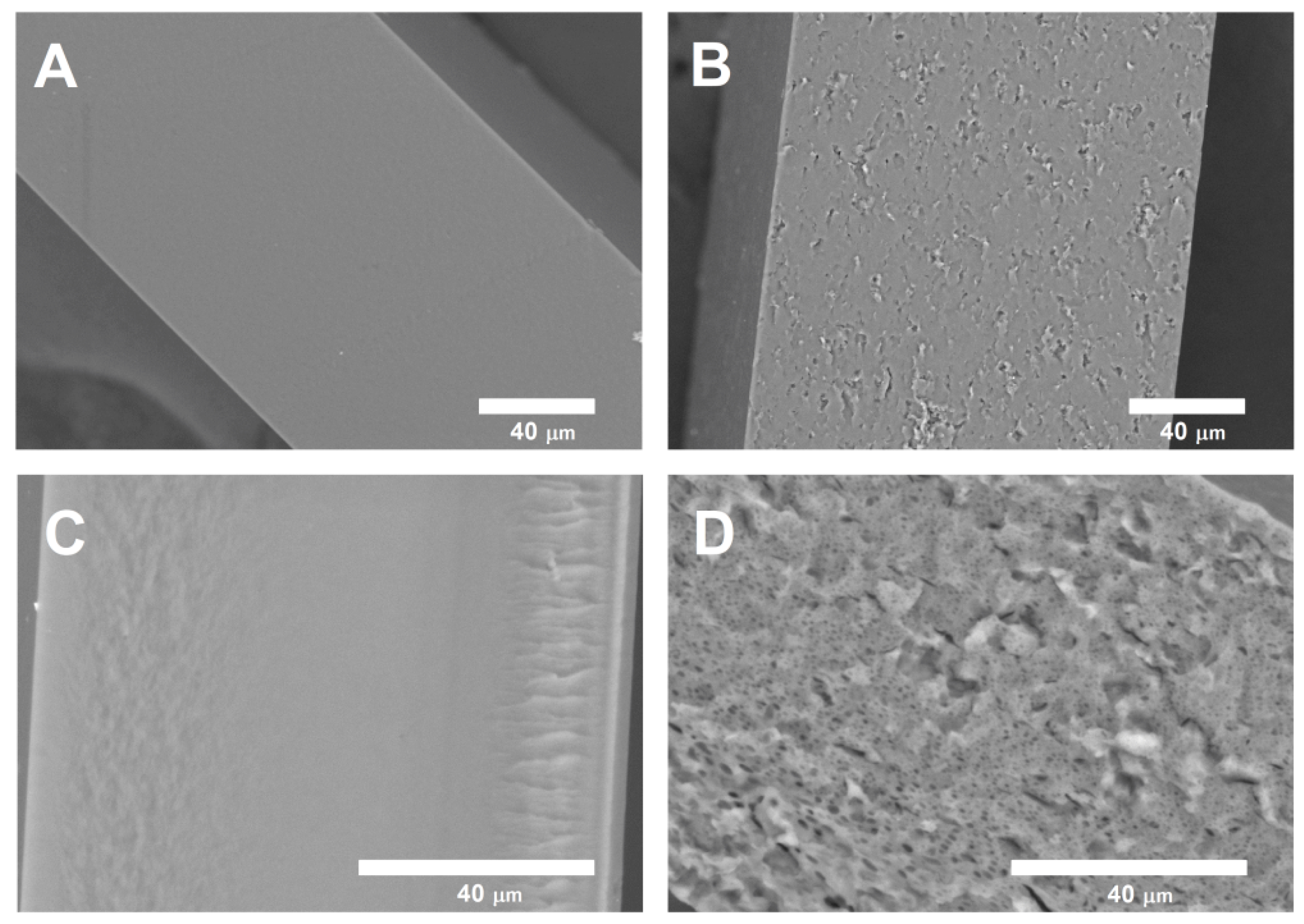 Polymers 14 03792 g003 550