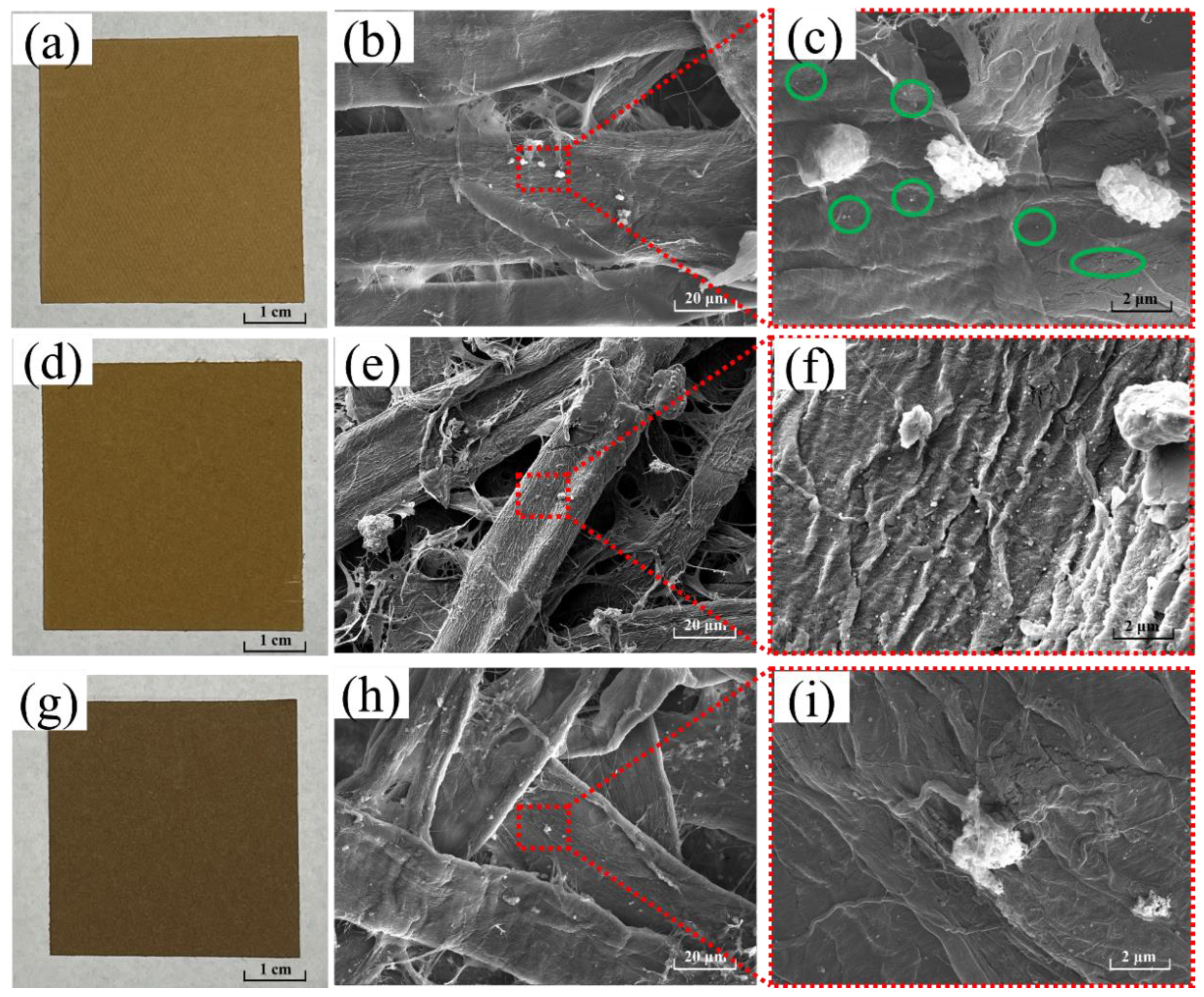 Polymers 14 03798 g002 550