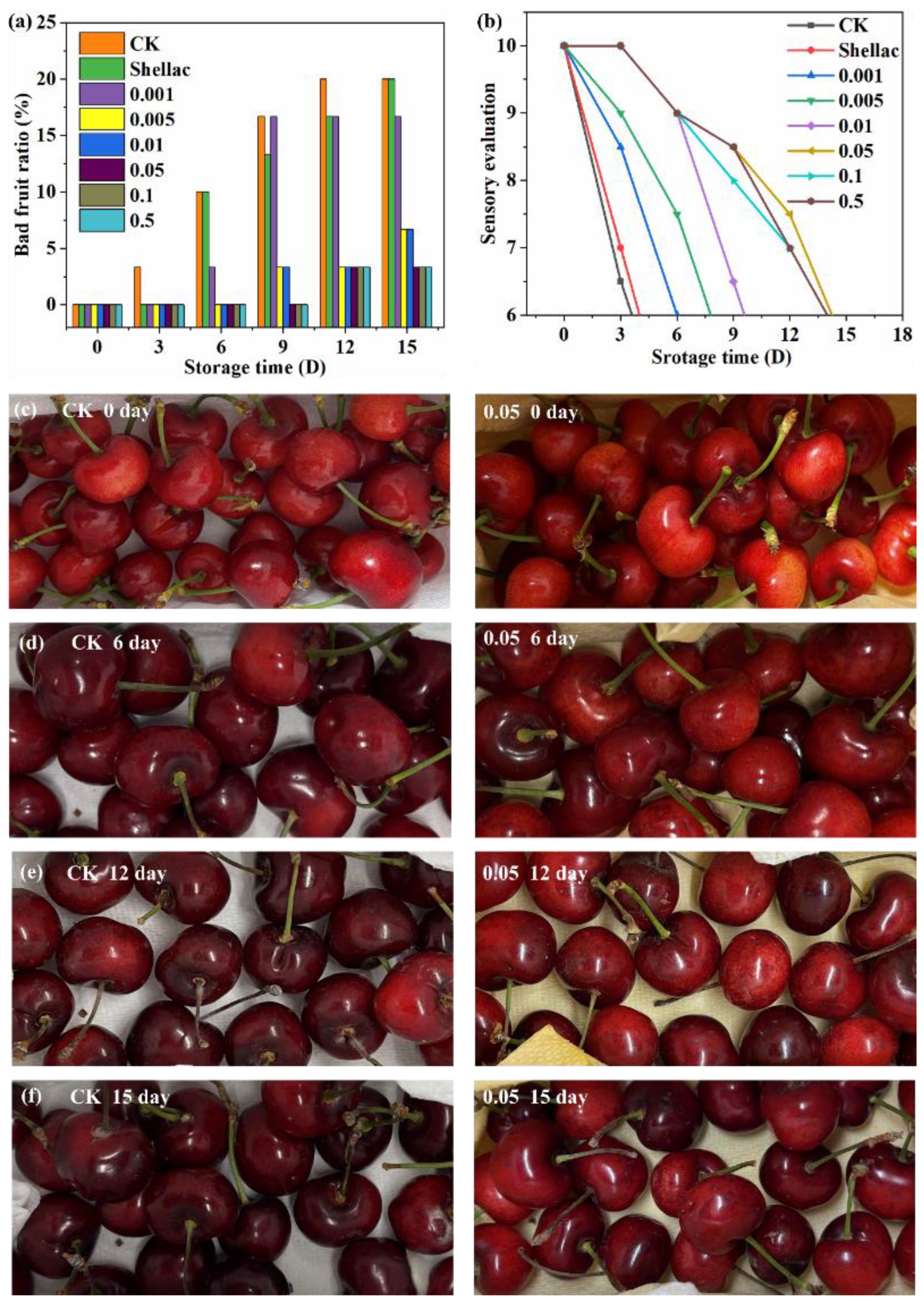 Polymers 14 03798 g007 550