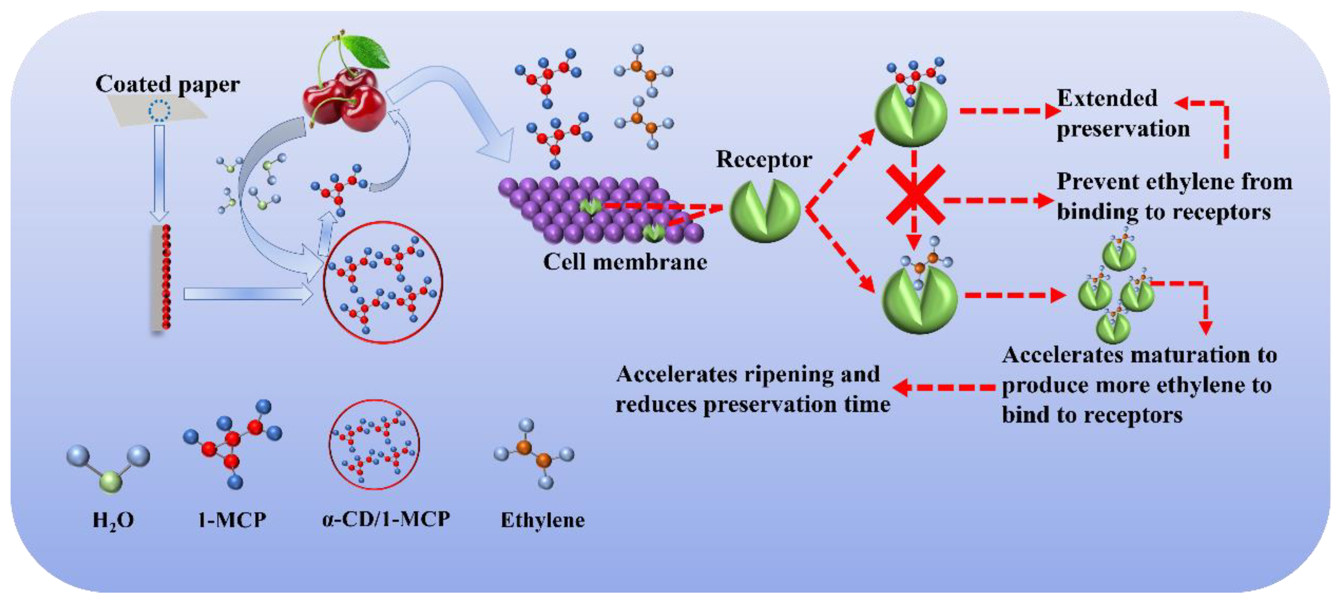Polymers 14 03798 g008 550